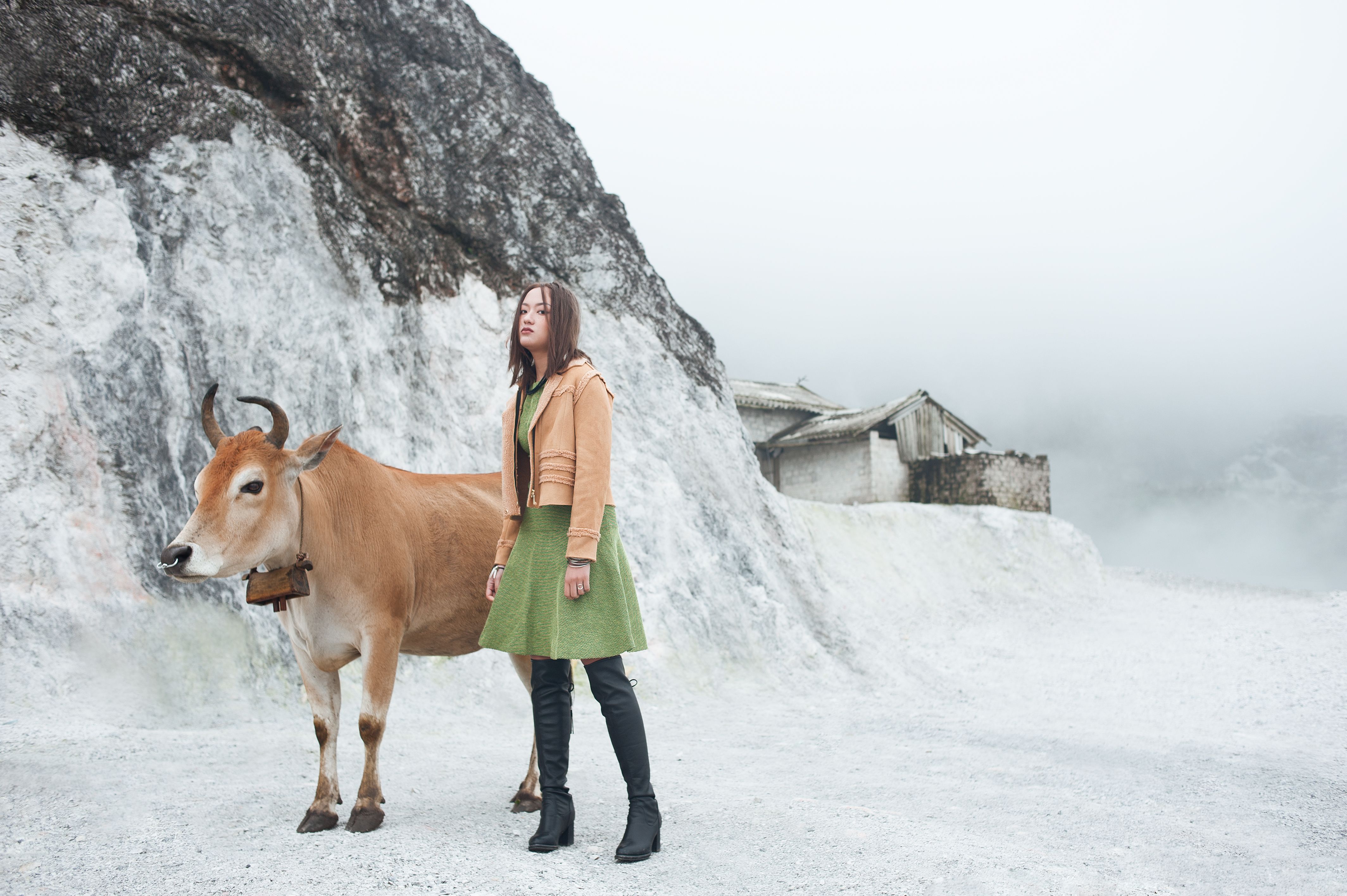 A woman stands beside a cow in a misty mountainous area, blending nature with rustic charm.