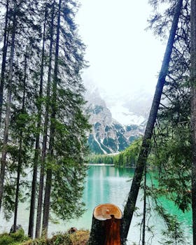 特伦蒂诺-阿尔托阿迪杰的湖泊宁静而壮丽，四周环绕着郁郁葱葱的森林和雄伟的山脉