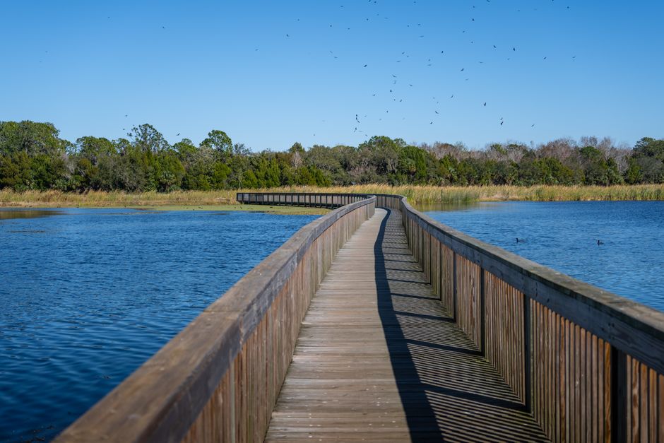 Explore the Beaver Marsh Boardwalk things to do in cuyahoga valley national park