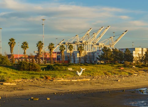Cargo cranes and shipping containers by a coastline in golden light with palm trees.