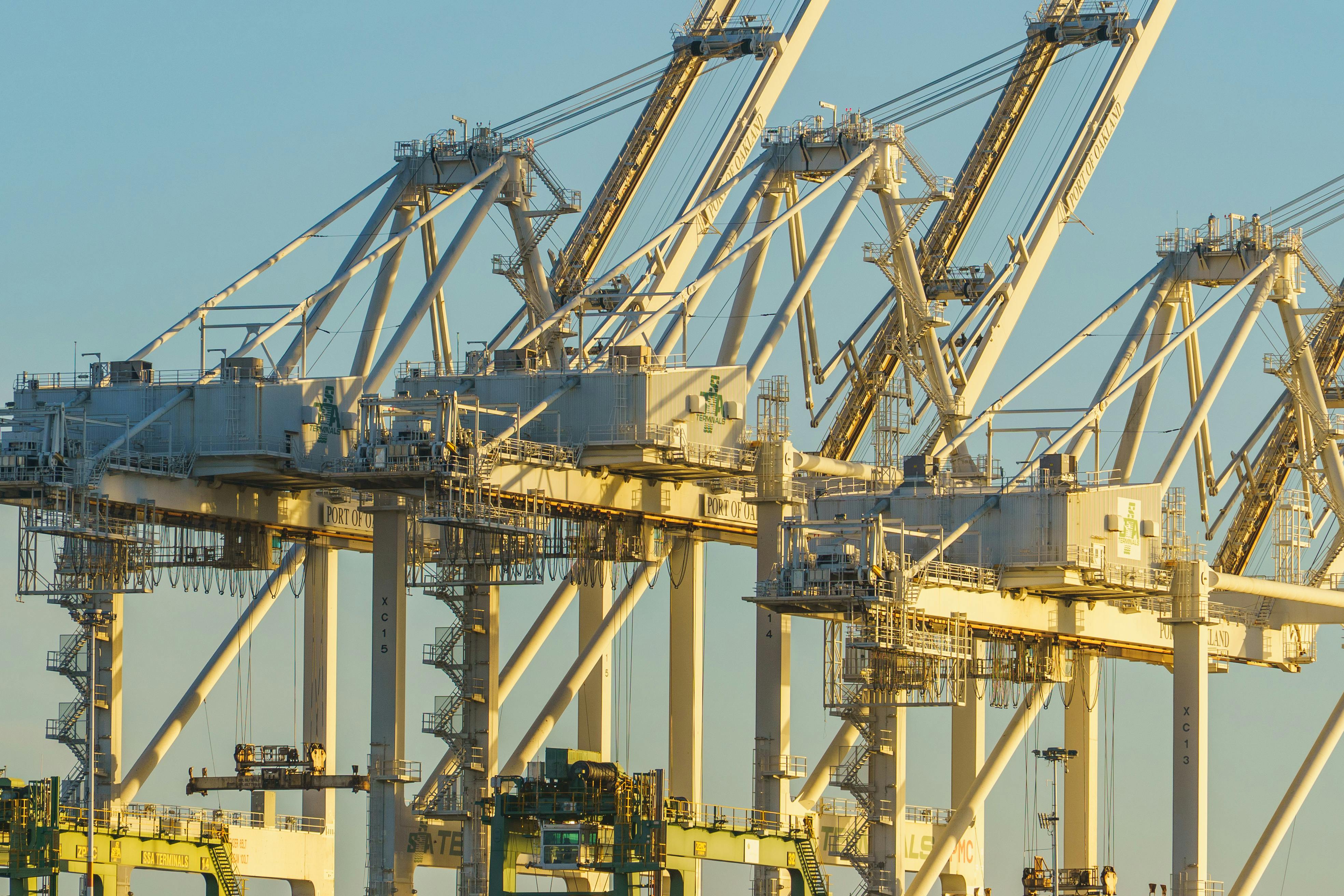 Industrial Port Cranes at Sunset in Harbor