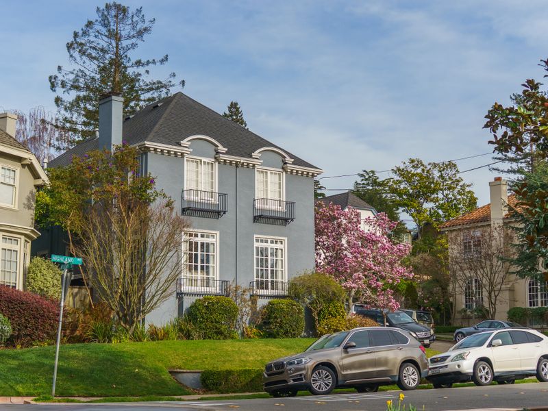 Charming suburban street with elegant houses in Stone Oak