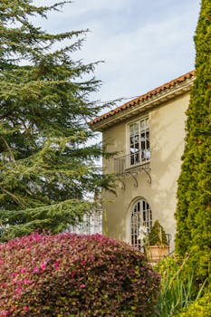 A Mediterranean style villa surrounded by lush greenery under a clear blue sky.