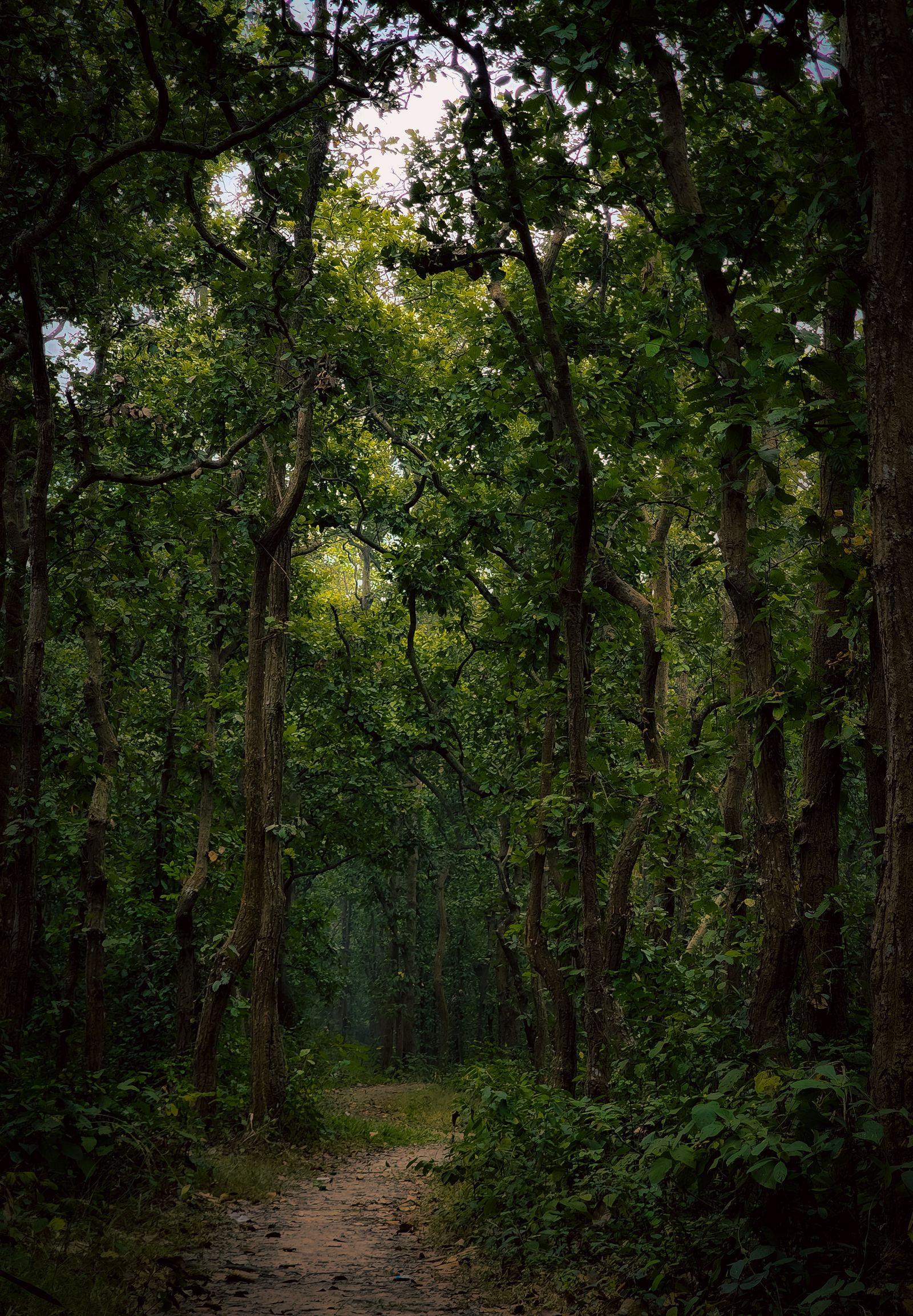 Nature