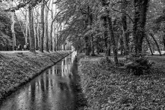 A peaceful forest scene with a stream and walking path in black and white.