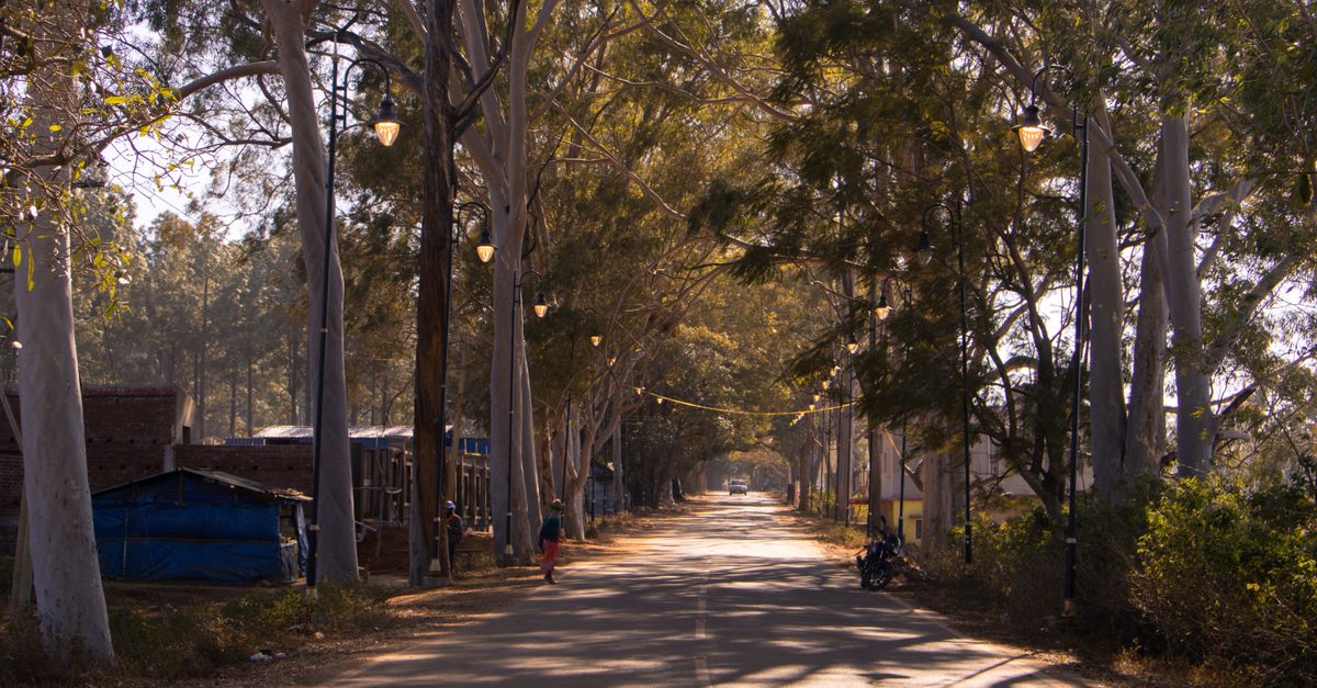 Jharkhand's Migration Patterns: Understanding the Rural-to-Urban Shift and its Tribal Impact