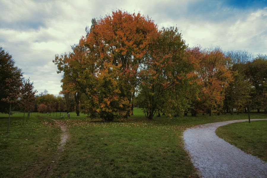A picturesque autumn scene with vibrant foliage in a park in Lombardia, Italy.
