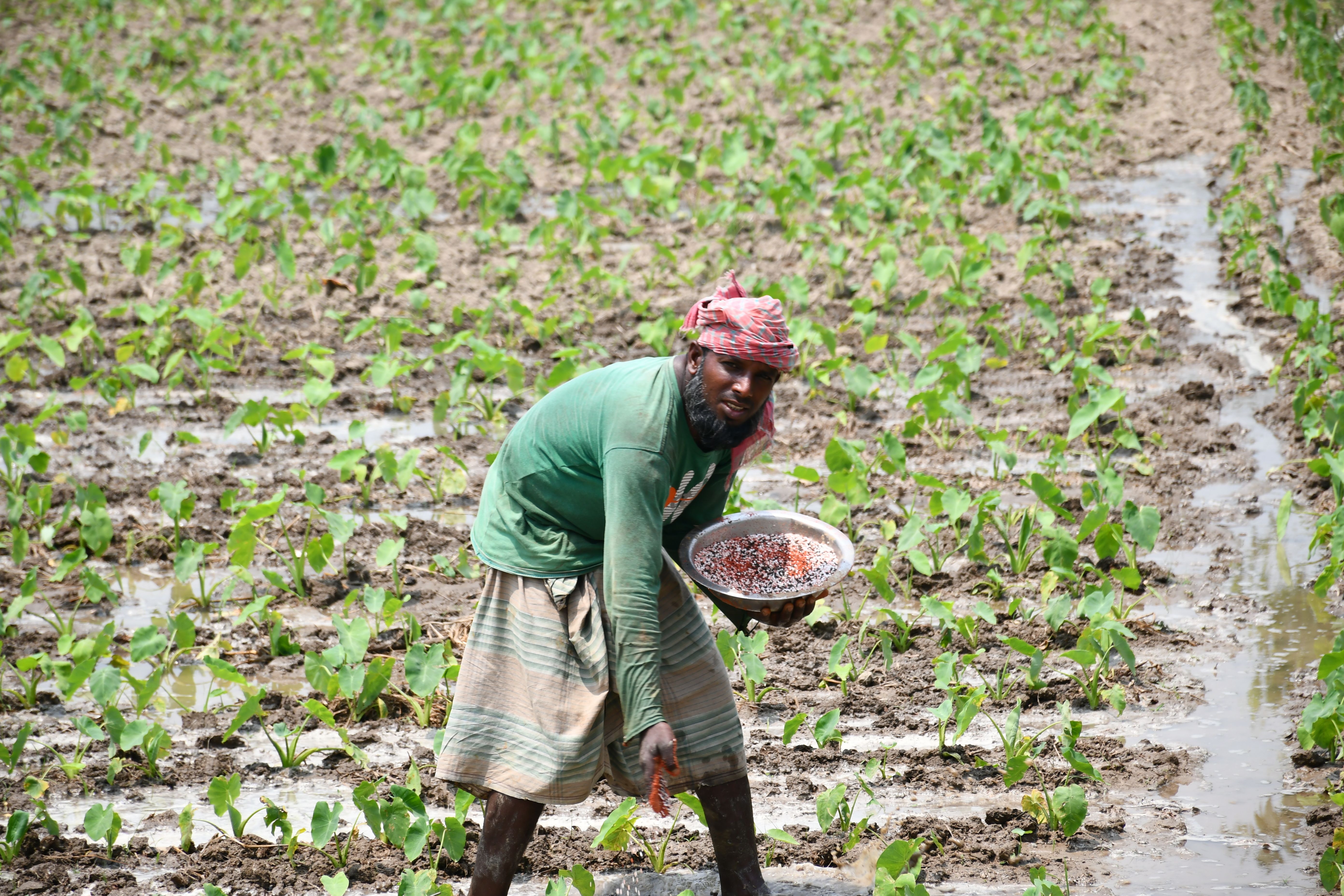 '10 Lakh Livelihoods At Risk': IBAI Opposes IRDAI's Proposed Distribution Reforms; Seeks PM Modi's Intervention news update image