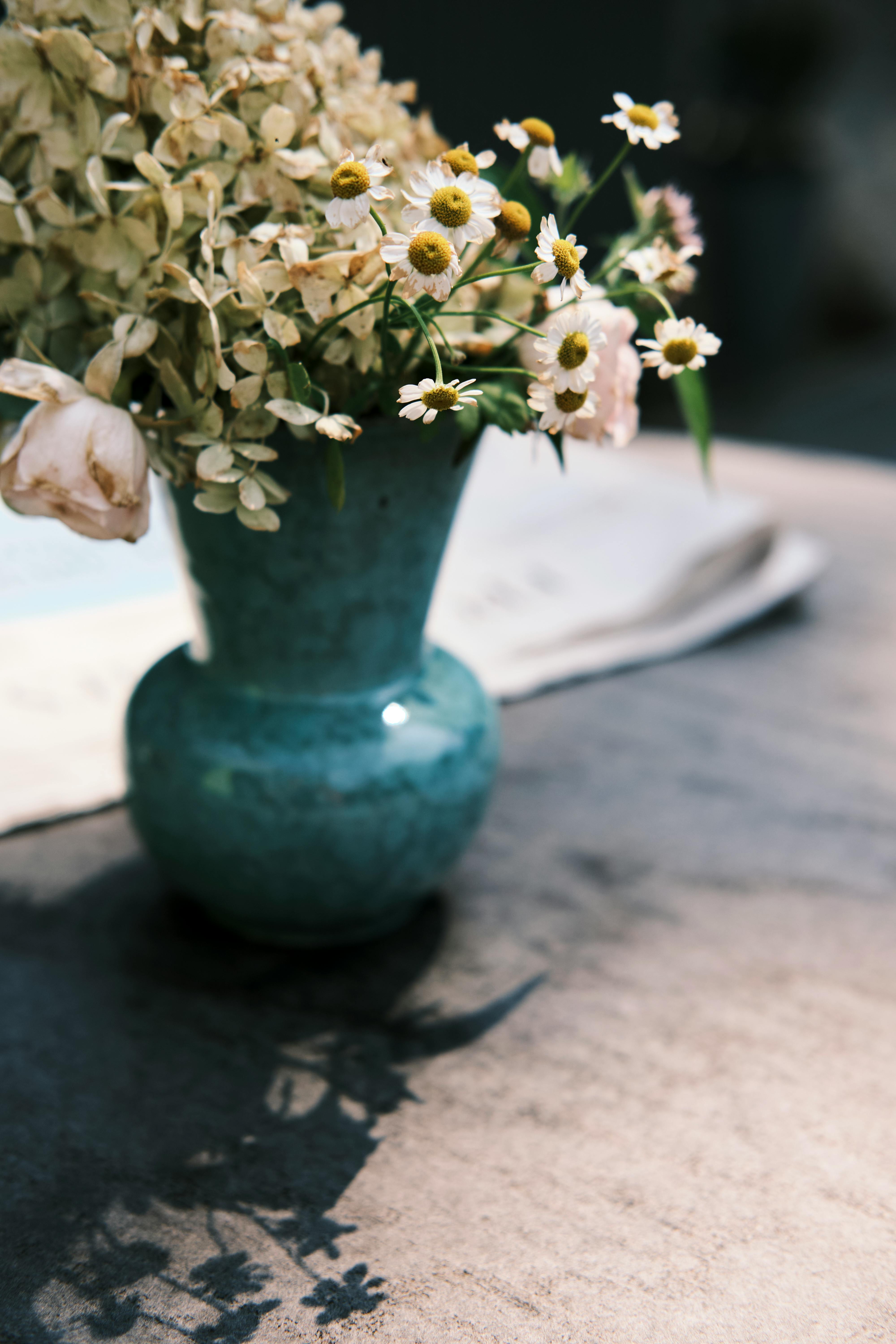 grátis Flores delicadas em um vaso de cerâmica azul criam um ambiente sereno de verão em uma mesa ensolarada. Foto profissional