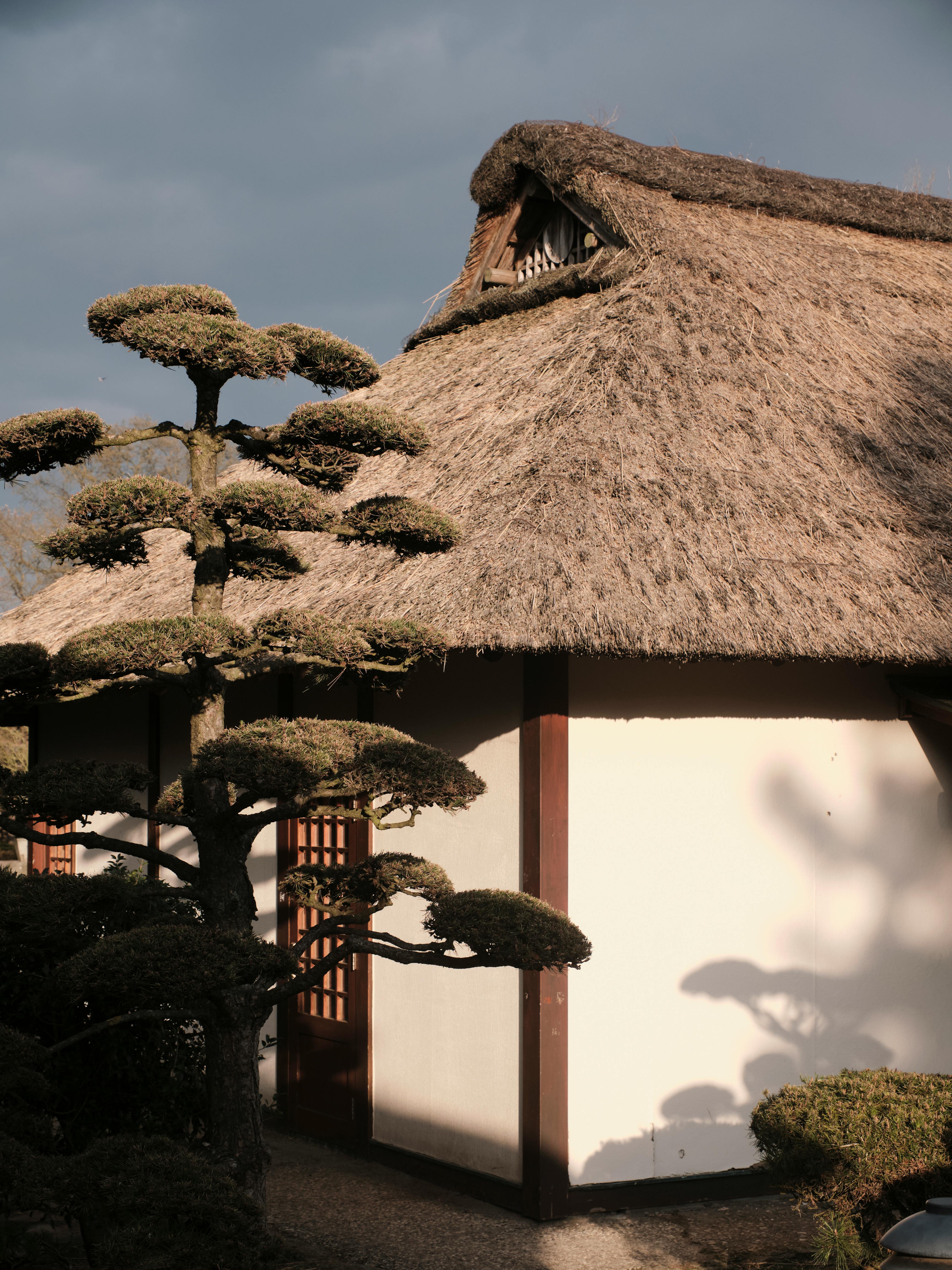 Serene Japanese tea house with a thatched roof and bonsai tree in Hamburg garden.