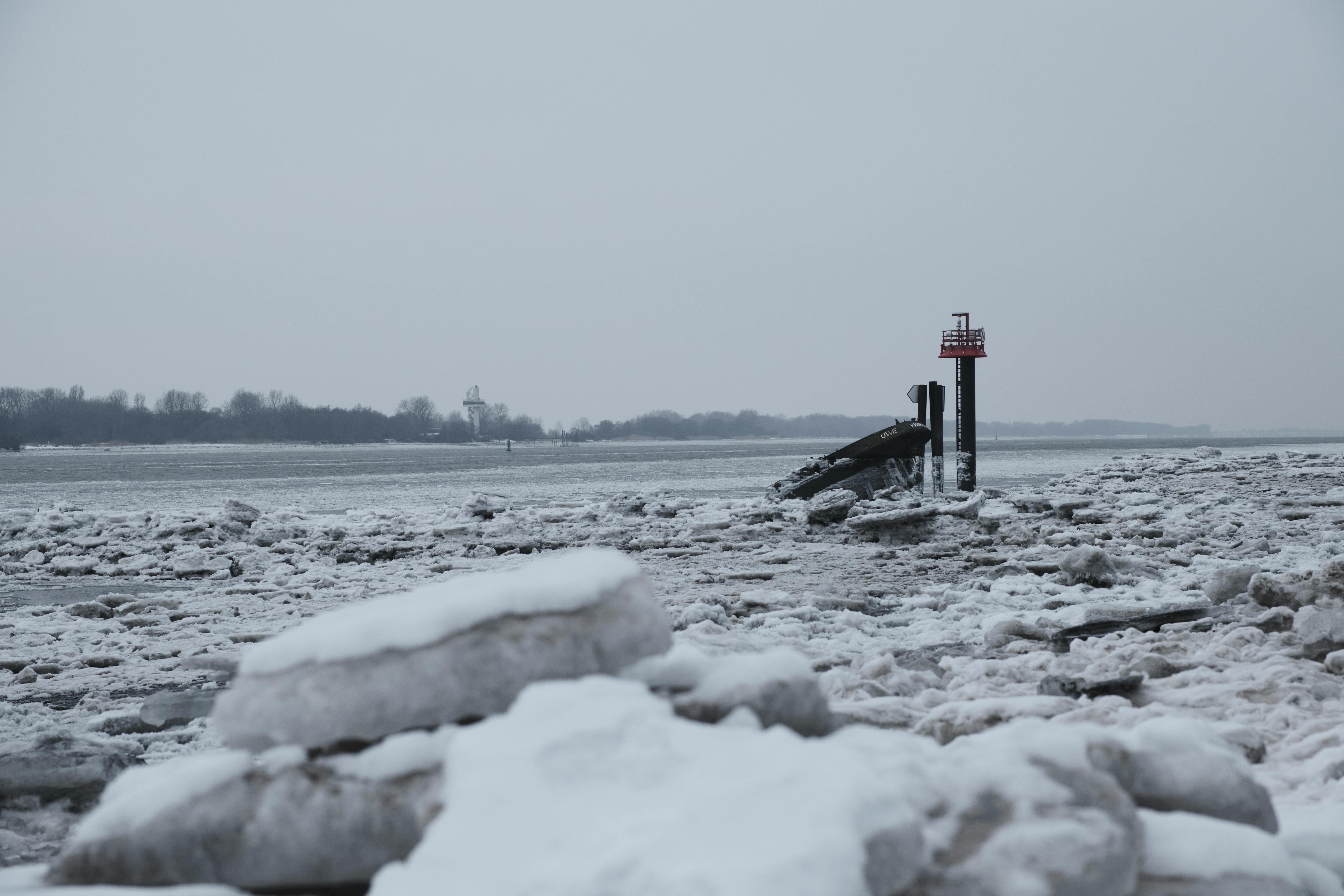 Gratis arkivbilde med blomstringsindikator, eis, eisschollen Arkivbilde