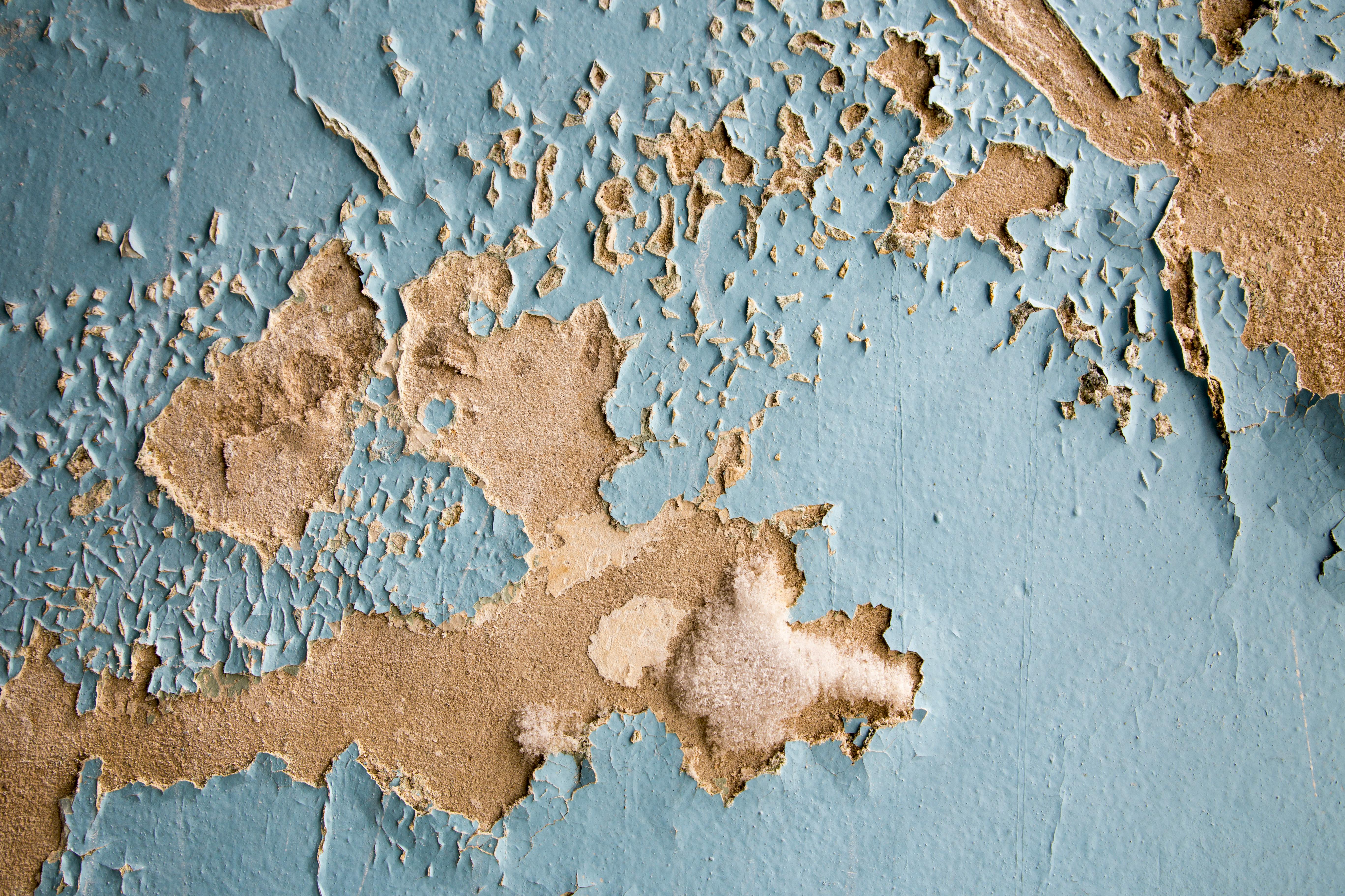 Water Mitigation service in Arlington, Texas — water mitigation and damage prevention