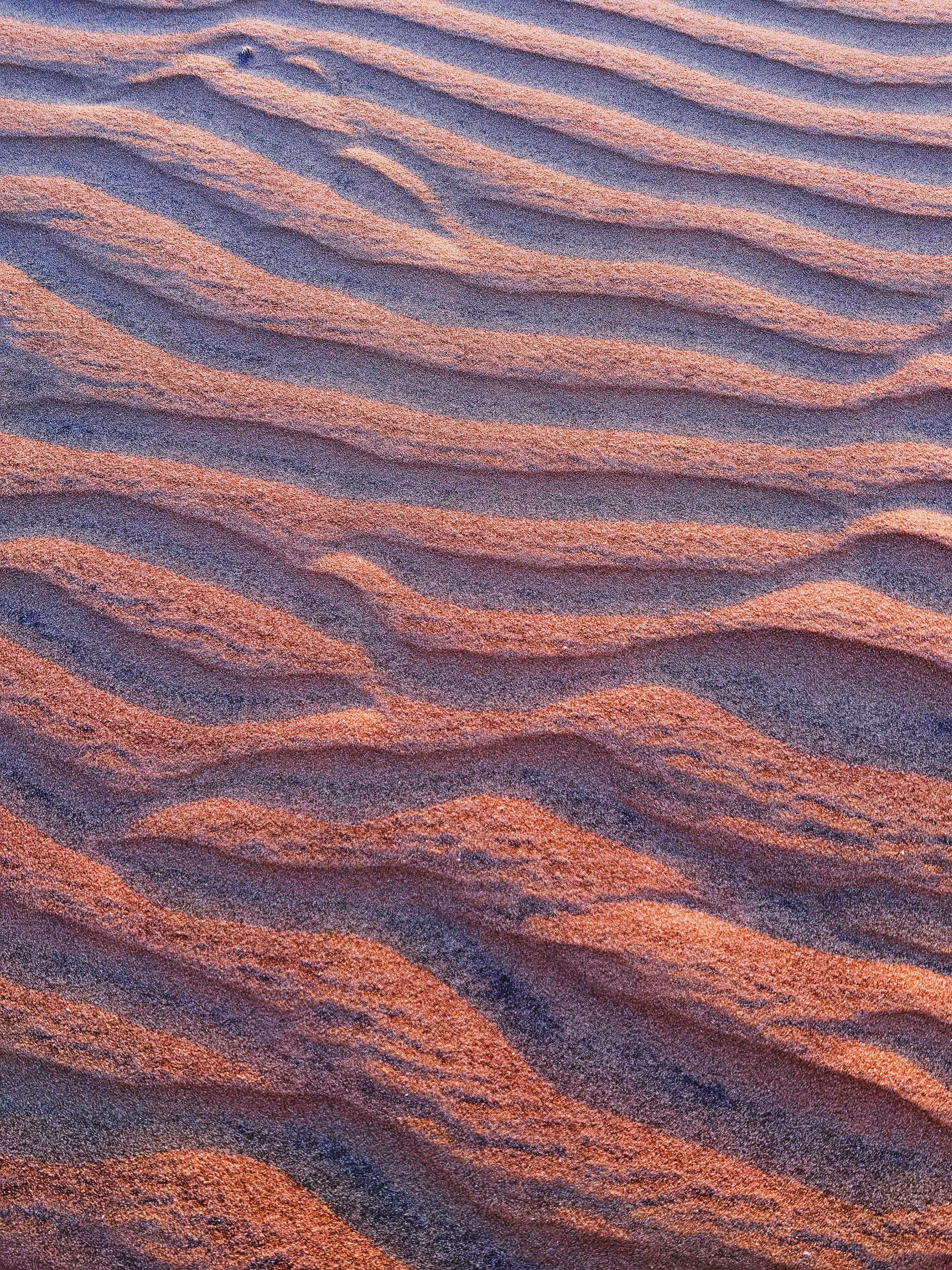 Capture of the serene and artistic ripples in desert sand dunes under soft light.