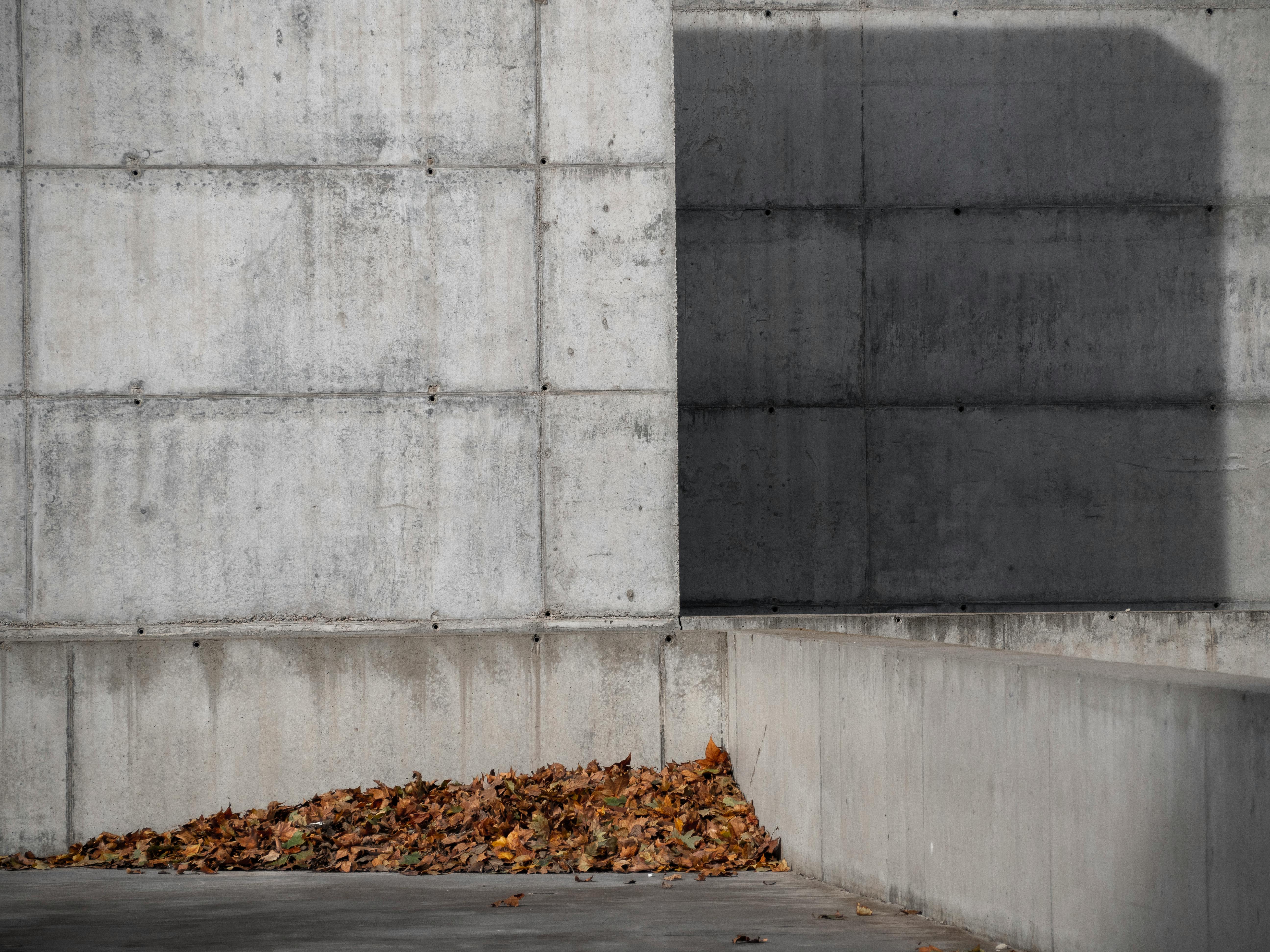 Gratis Minimalistisk betonvæg omgivet af nedfaldne efterårsblade, der skildrer urbant forfald og enkelhed. Lagerfoto