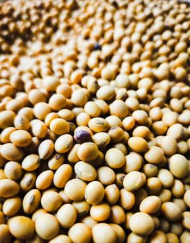 Soybeans