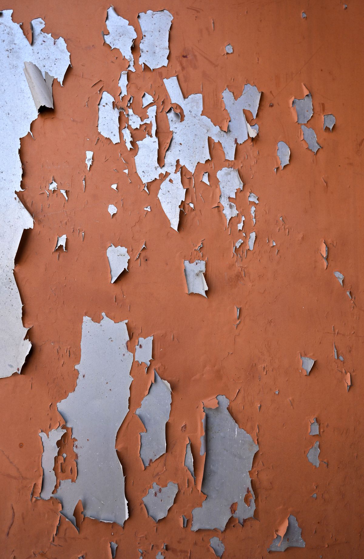 Flaking orange paint peeling away from a wall to reveal the paler layer underneath