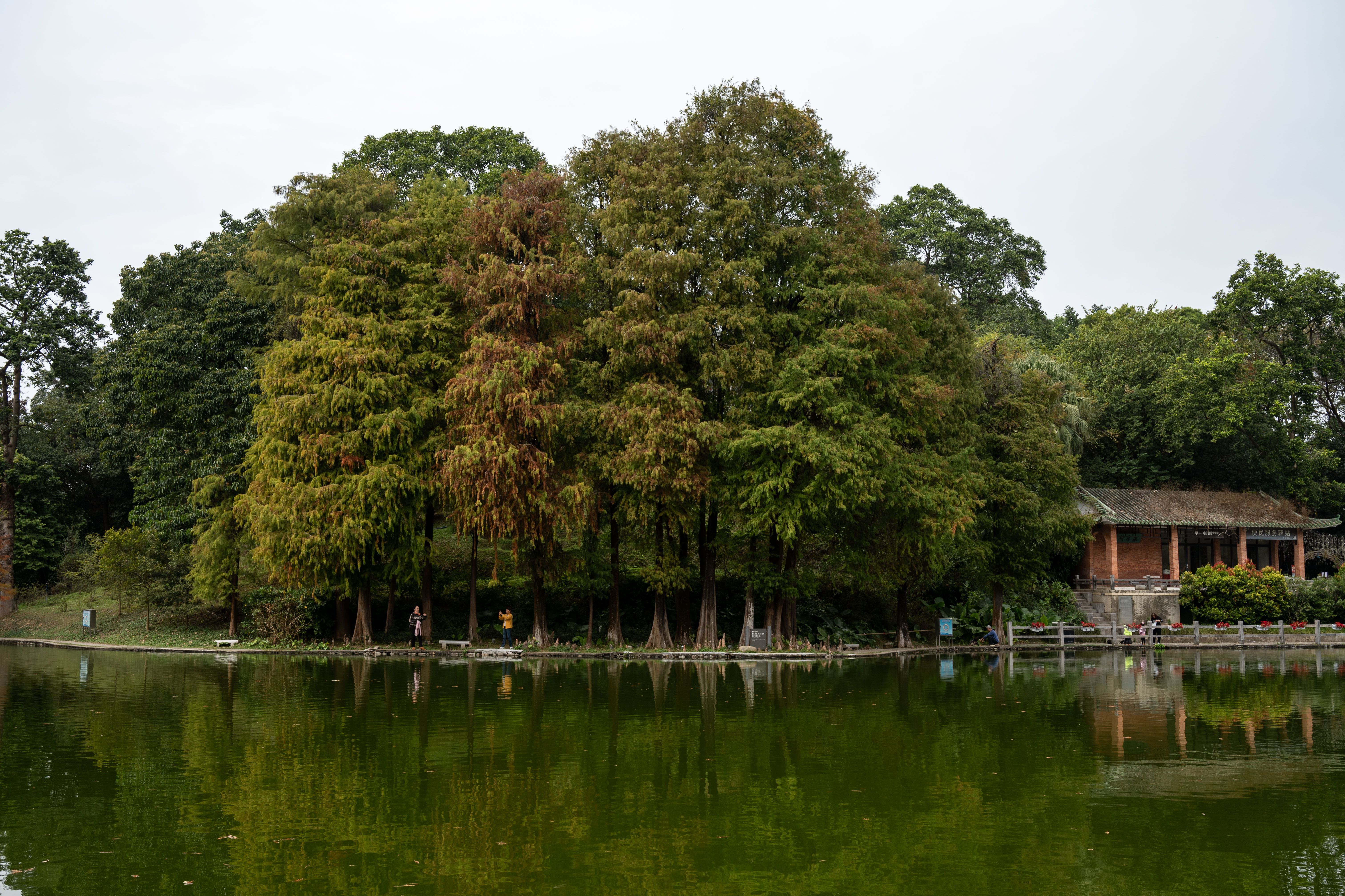Kaiping Private Day Tour from Guangzhou