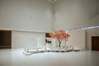 Modern Art Installation with Autumn Tree in Shanghai