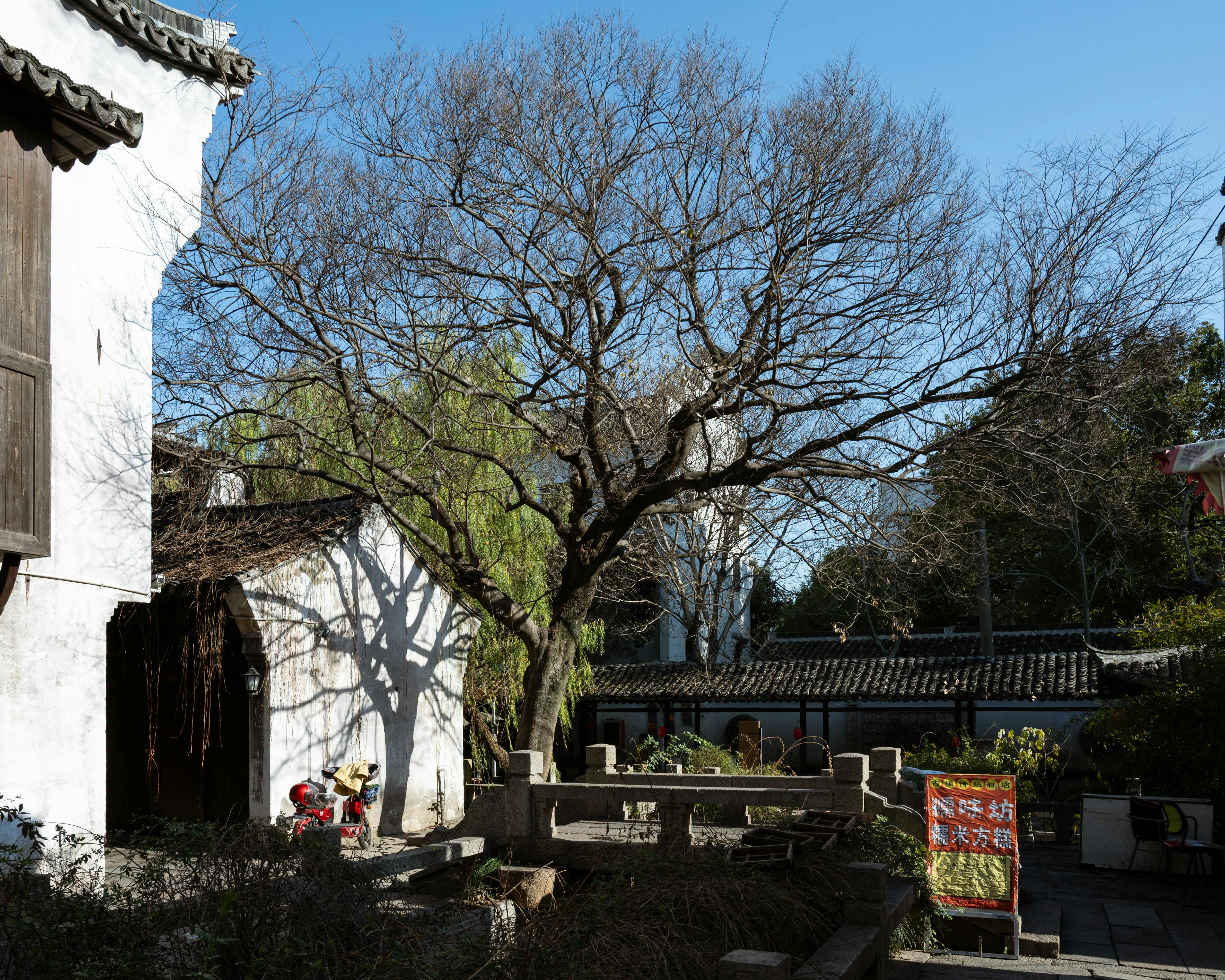 أصدقاء حقيقيون يقدمون دعم نفسي وبناء علاقات متينة في الهواء الطلق