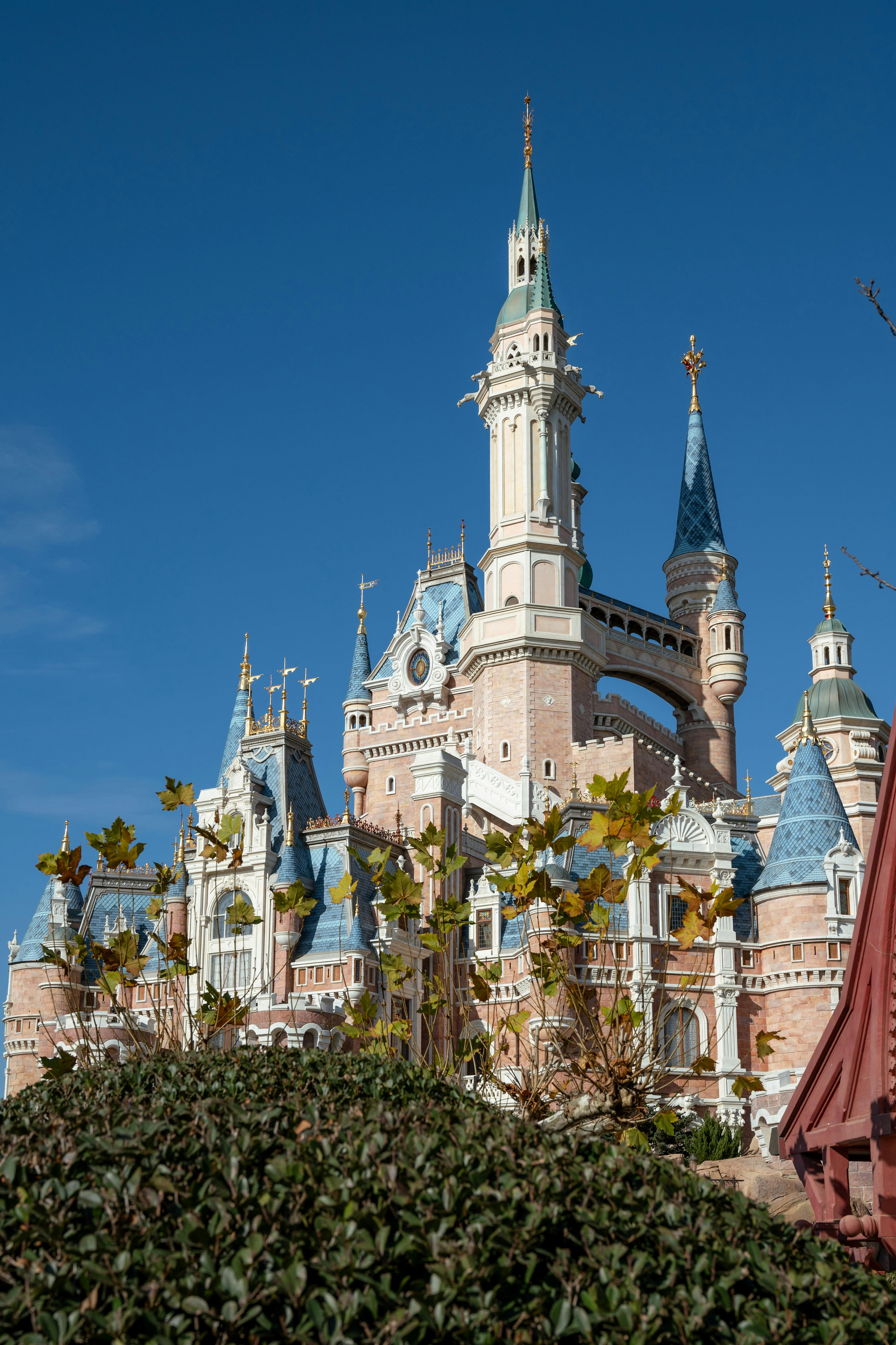 Disneyland Vacations