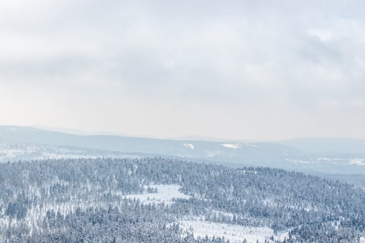 A serene snowy forest landscape with overcast skies in winter.