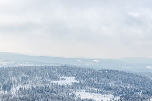 Free A serene snowy forest landscape with overcast skies in winter. Stock Photo