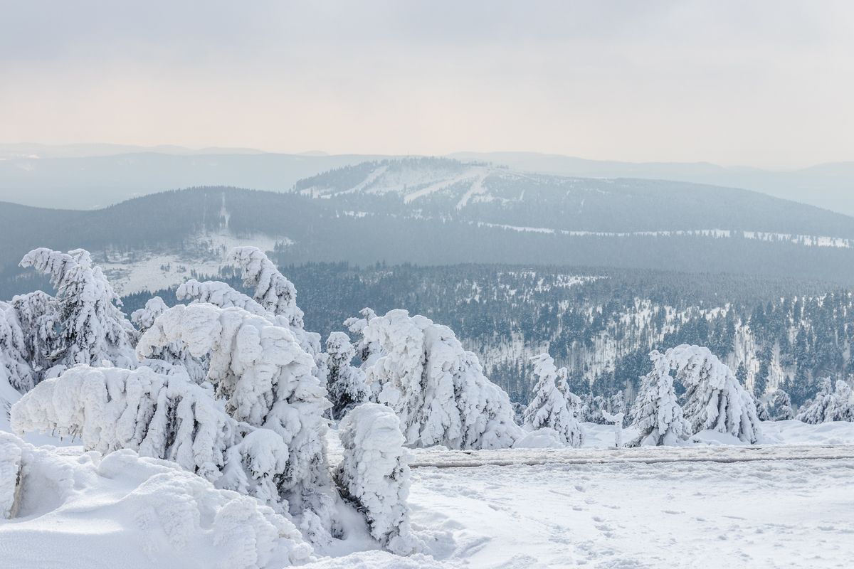 Finland Landscape