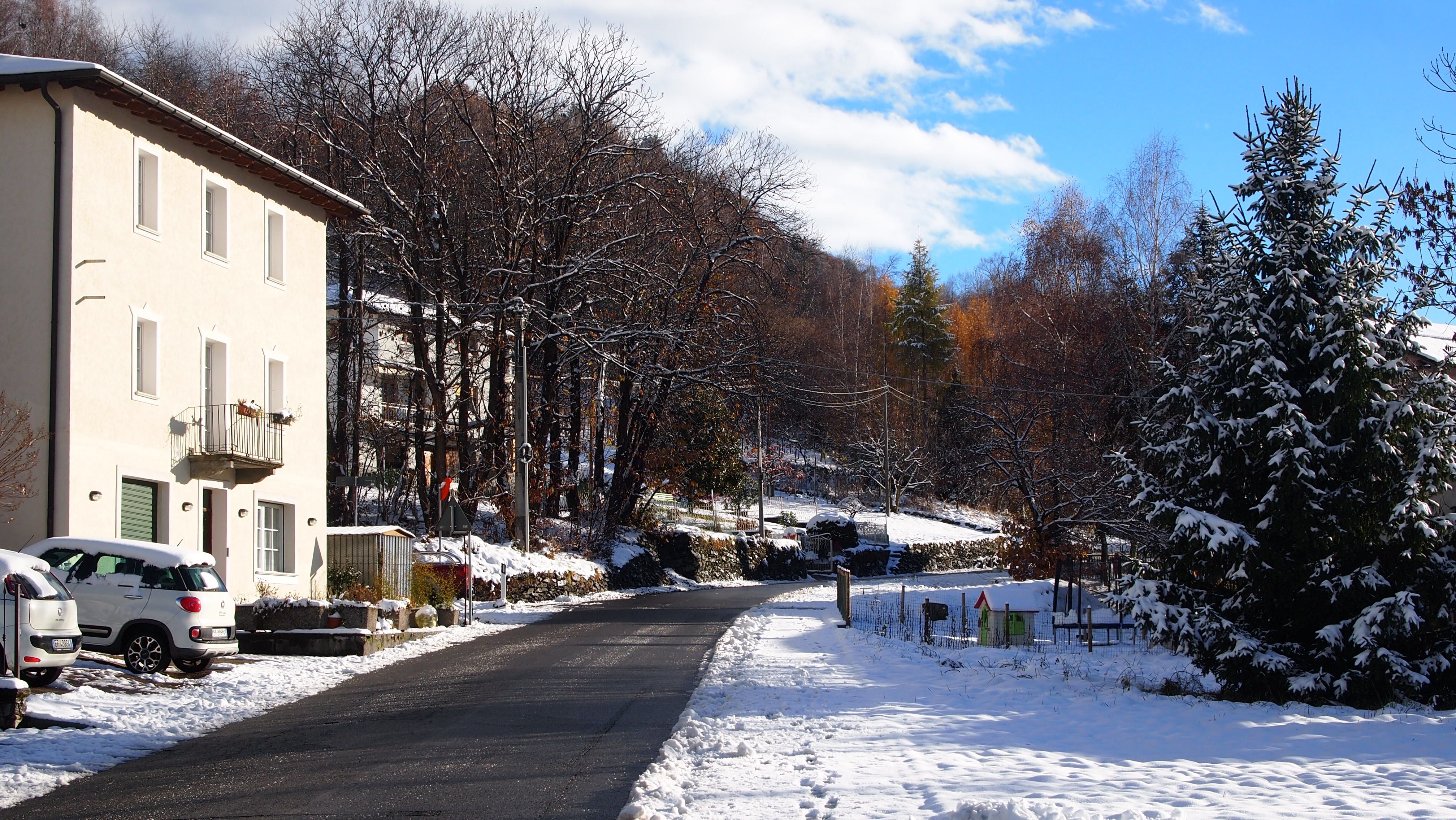 Snow-covered village street lined with trees and houses on a bright winter day.