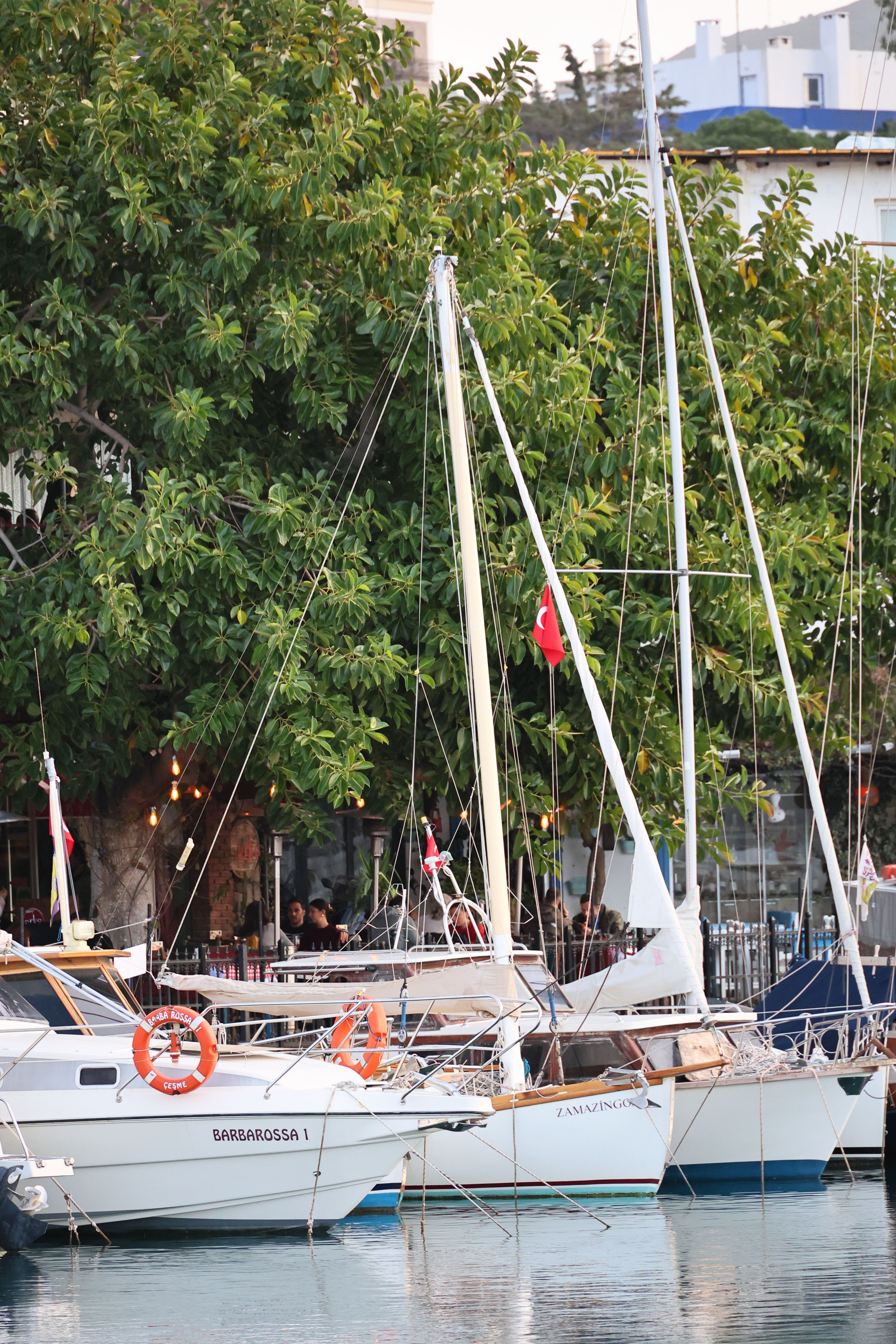 Charming view of sailboats at a serene marina in Bodrum, Türkiye, surrounded by lush greenery.