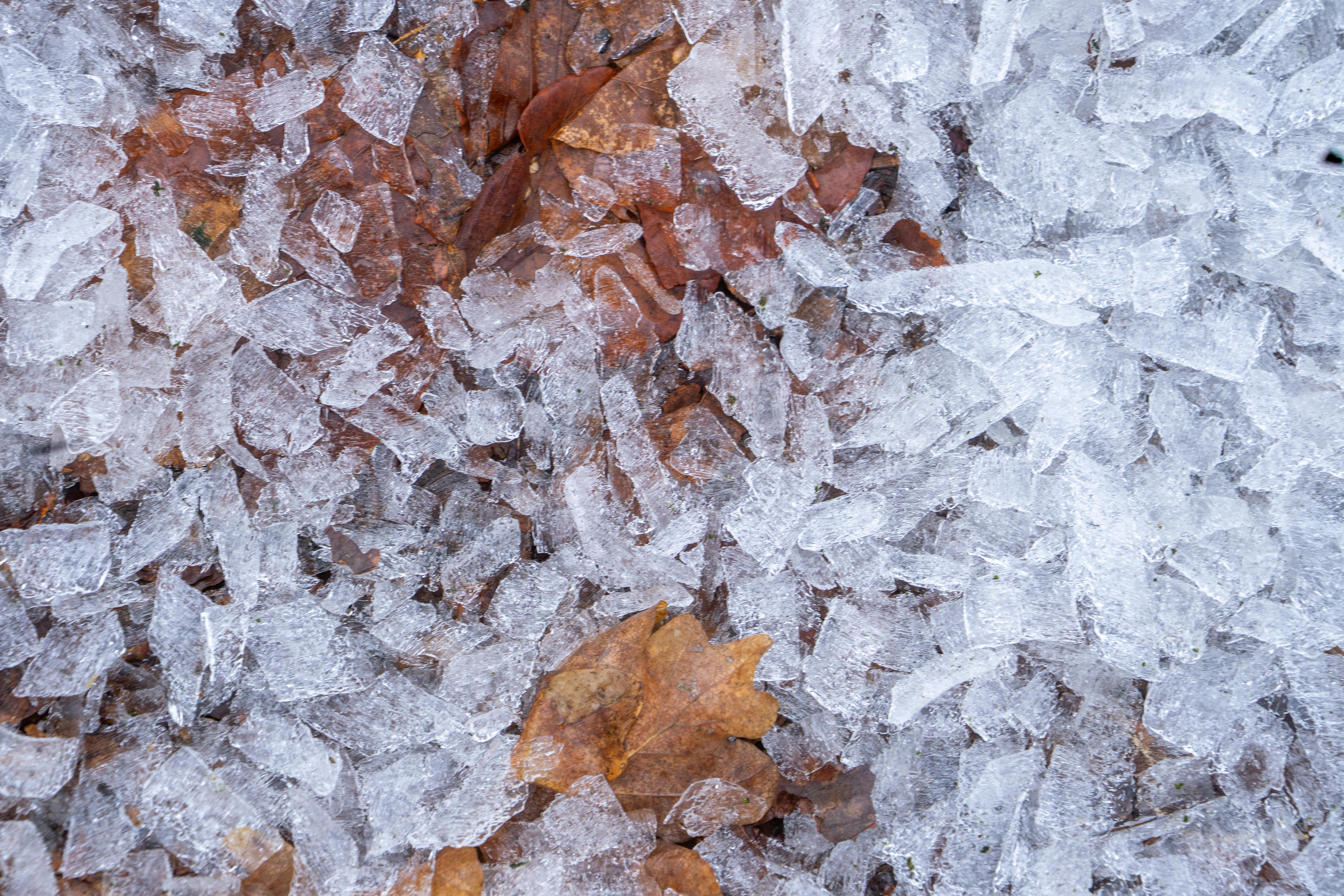 Zadarmo Detailný záber na ľadové kryštáliky pokrývajúce opadané jesenné lístie, ktoré znázorňujú prechod prírody do zimy. Fotka z fotobanky