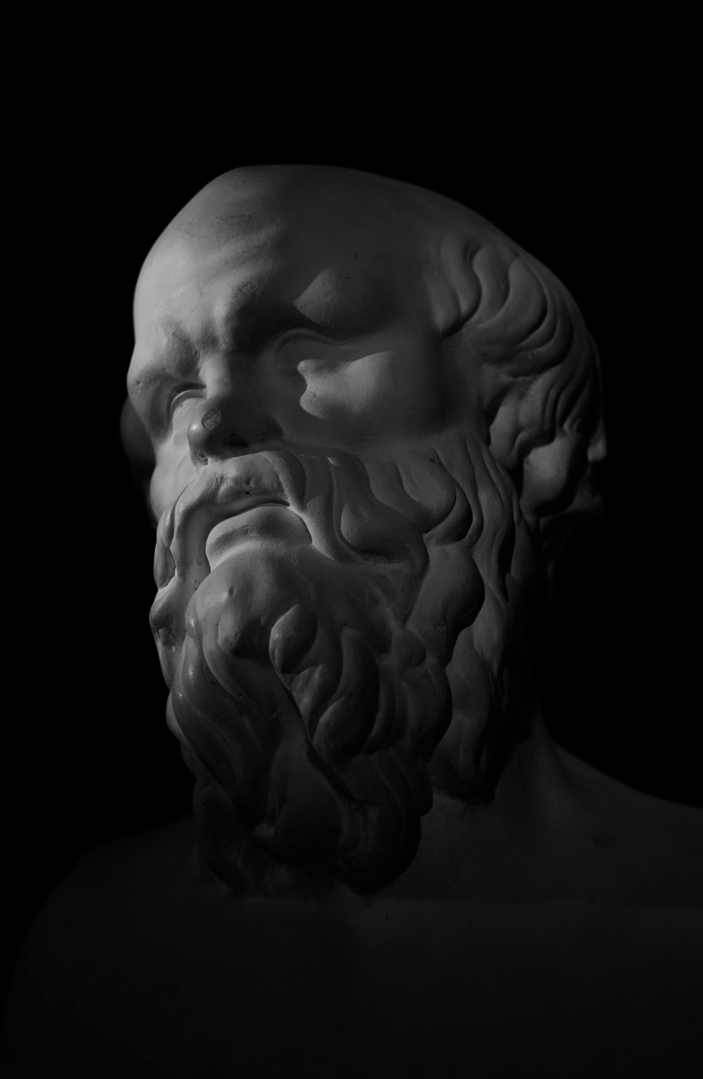 Monochrome image of a classical marble bust with dramatic lighting against a black background.
