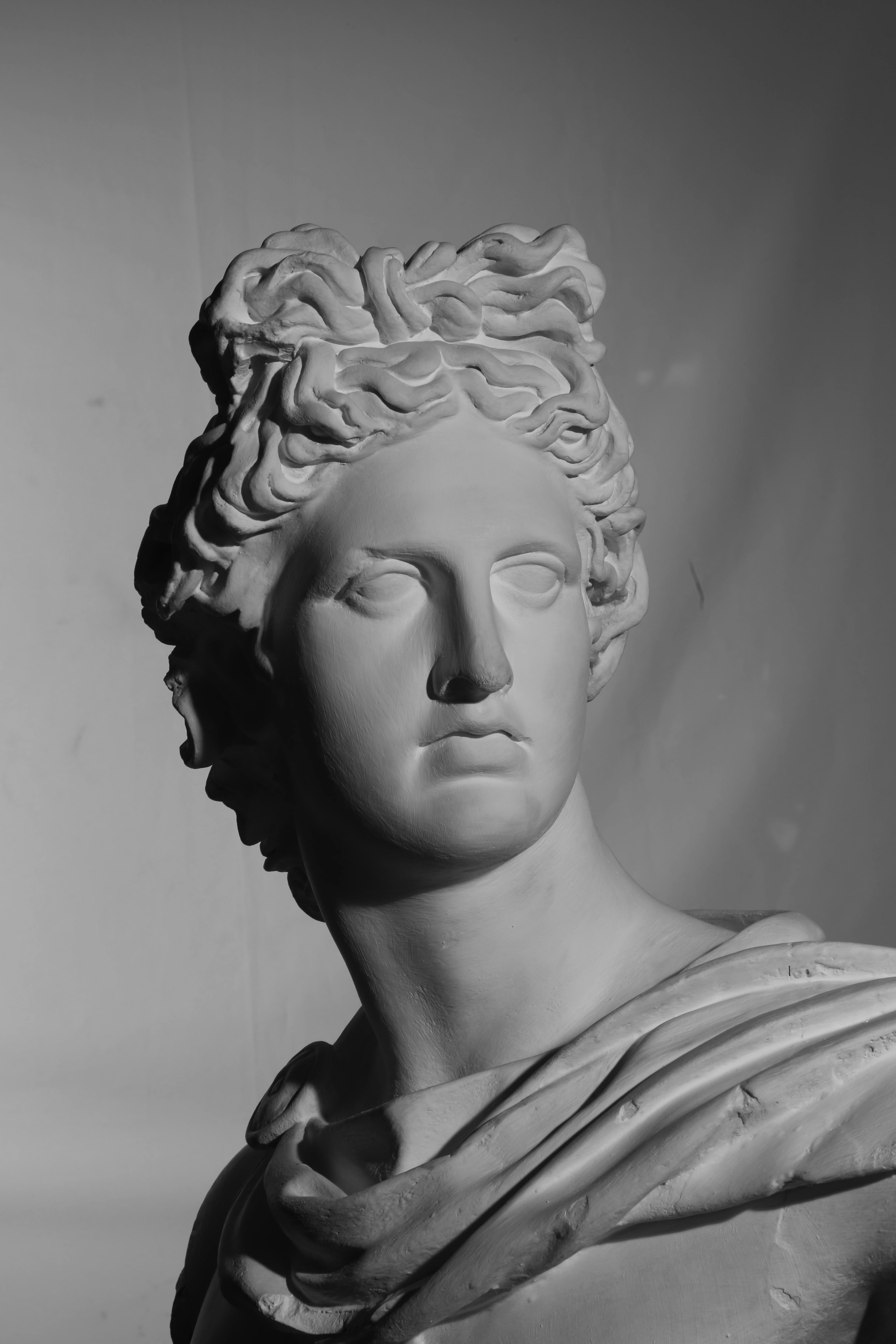 免费 一张古希腊风格雕塑半身像的黑白照片，戏剧性的光线突出了细节。 素材图片