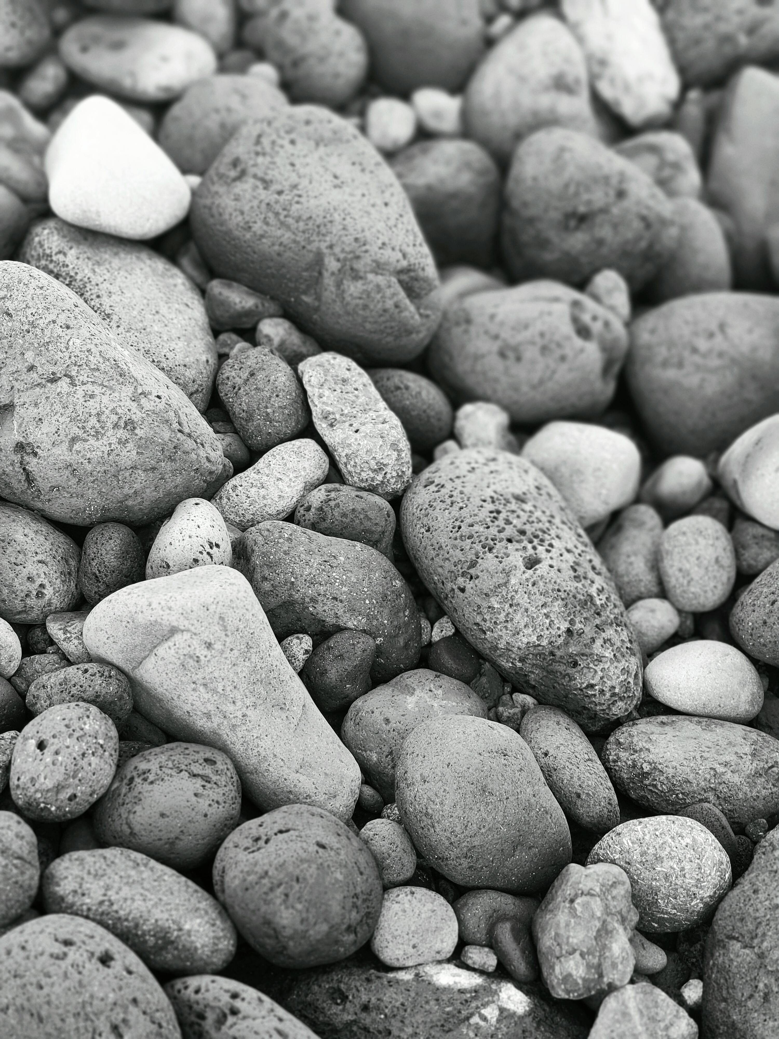 bezplatná Černobílý detail hladkých oblázků vytvářejících texturovaný vzor. Základová fotografie