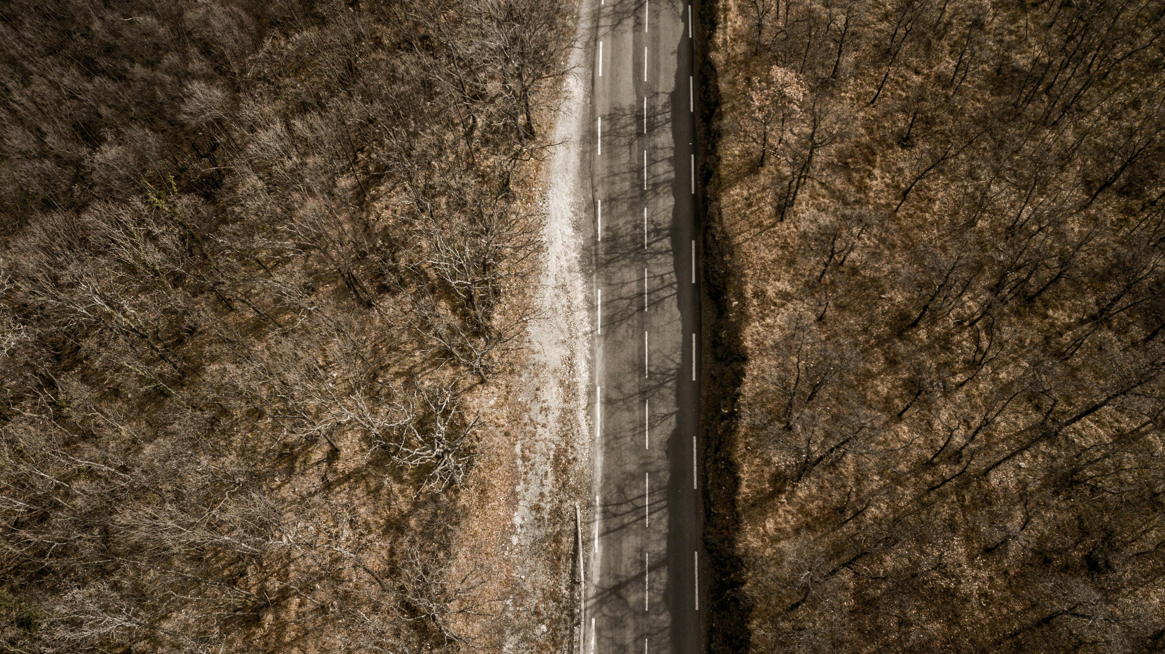 Gratuit Vue aérienne d'une route déserte traversant une forêt hivernale aux arbres dénudés, créant une atmosphère mélancolique. Photos