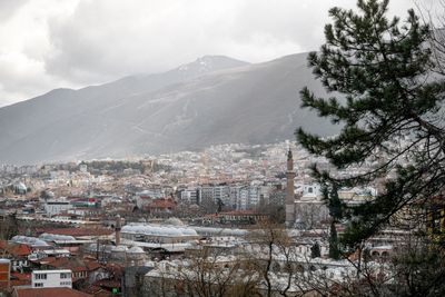 Bursa