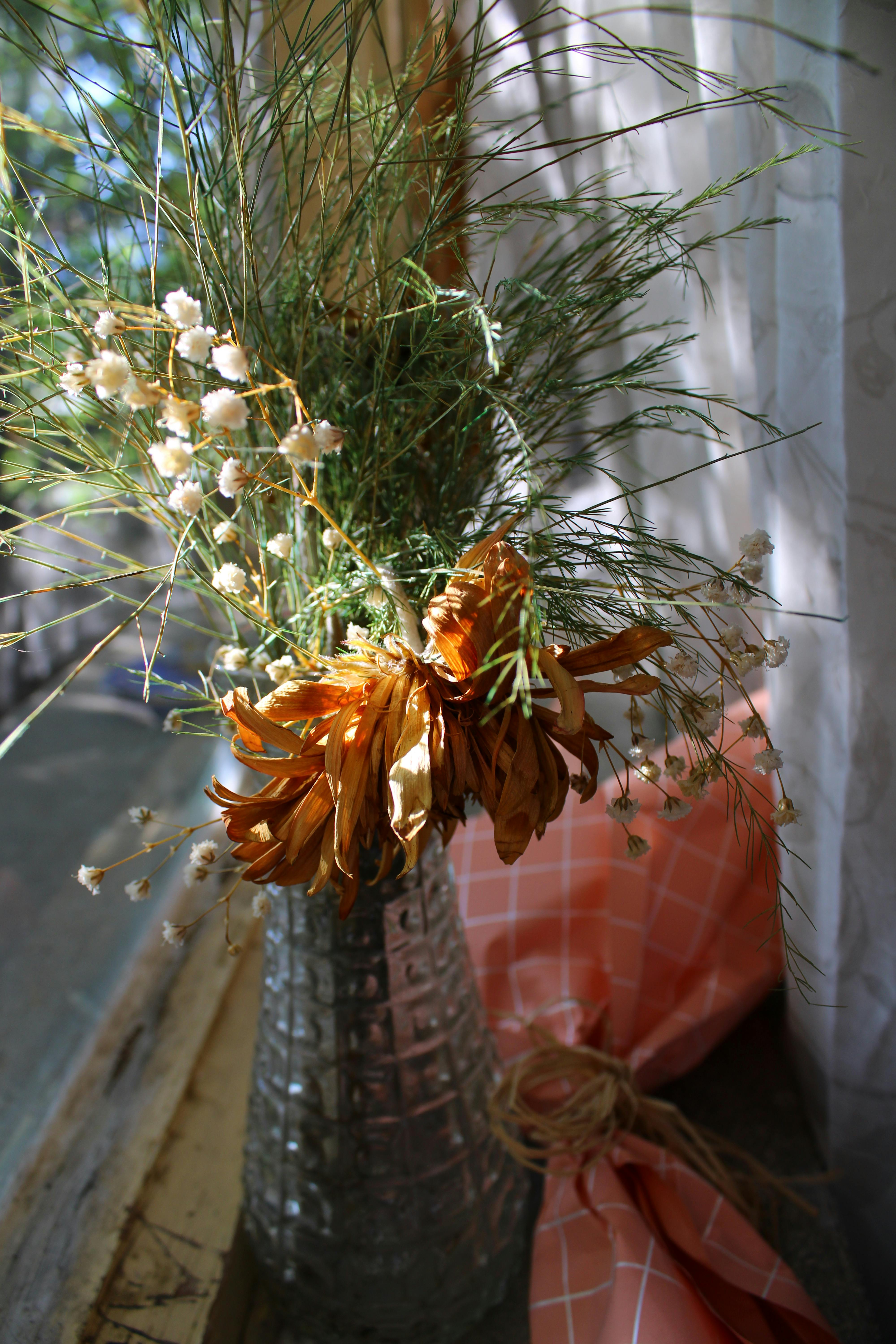 Kostnadsfria Torkade blommor i en vas vid ett fönster med naturligt ljus. Stock foto