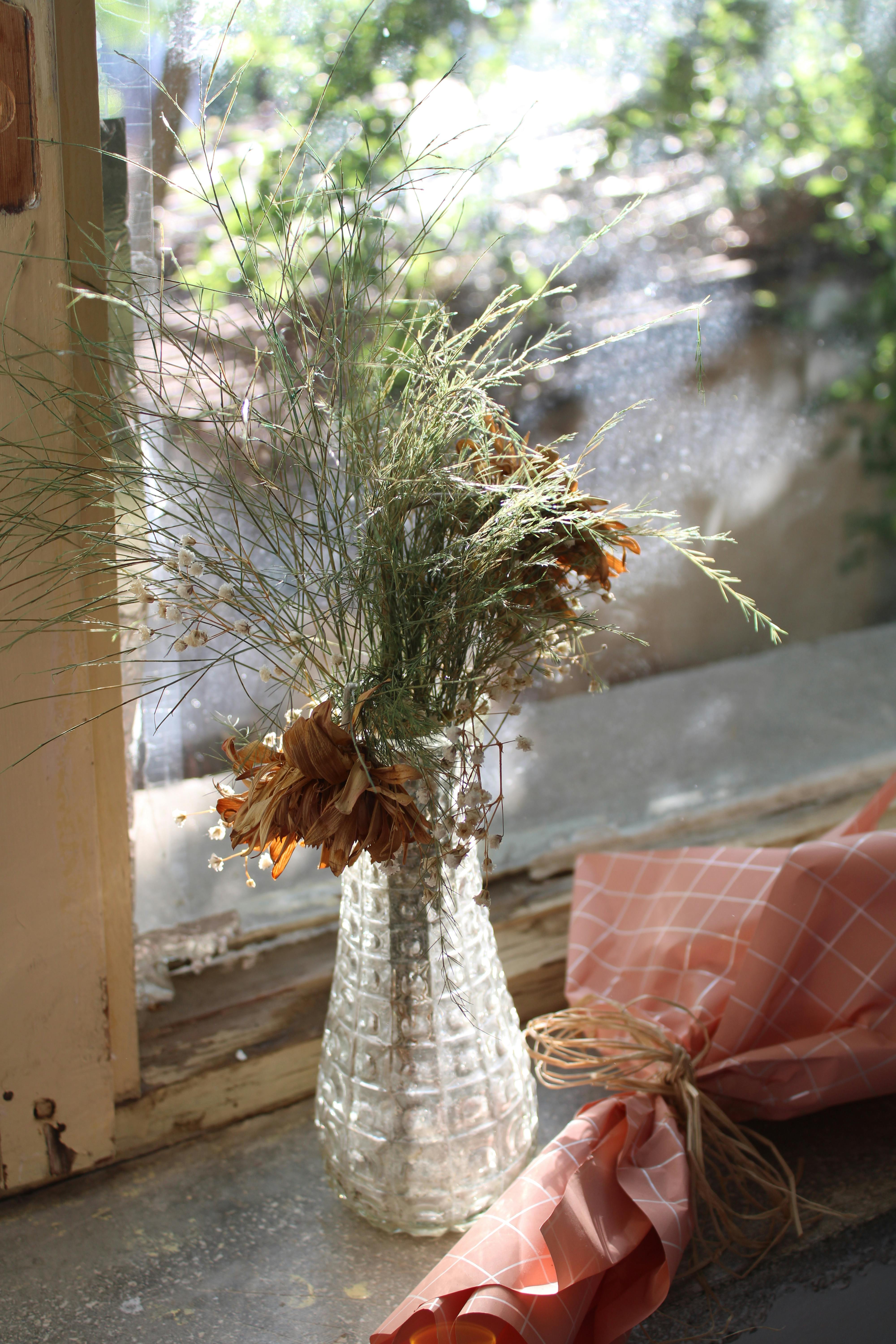 Gratis En rustikk glassvase med tørkede blomster på en solrik vinduskarm, som fremkaller en koselig og naturlig atmosfære. Arkivbilde