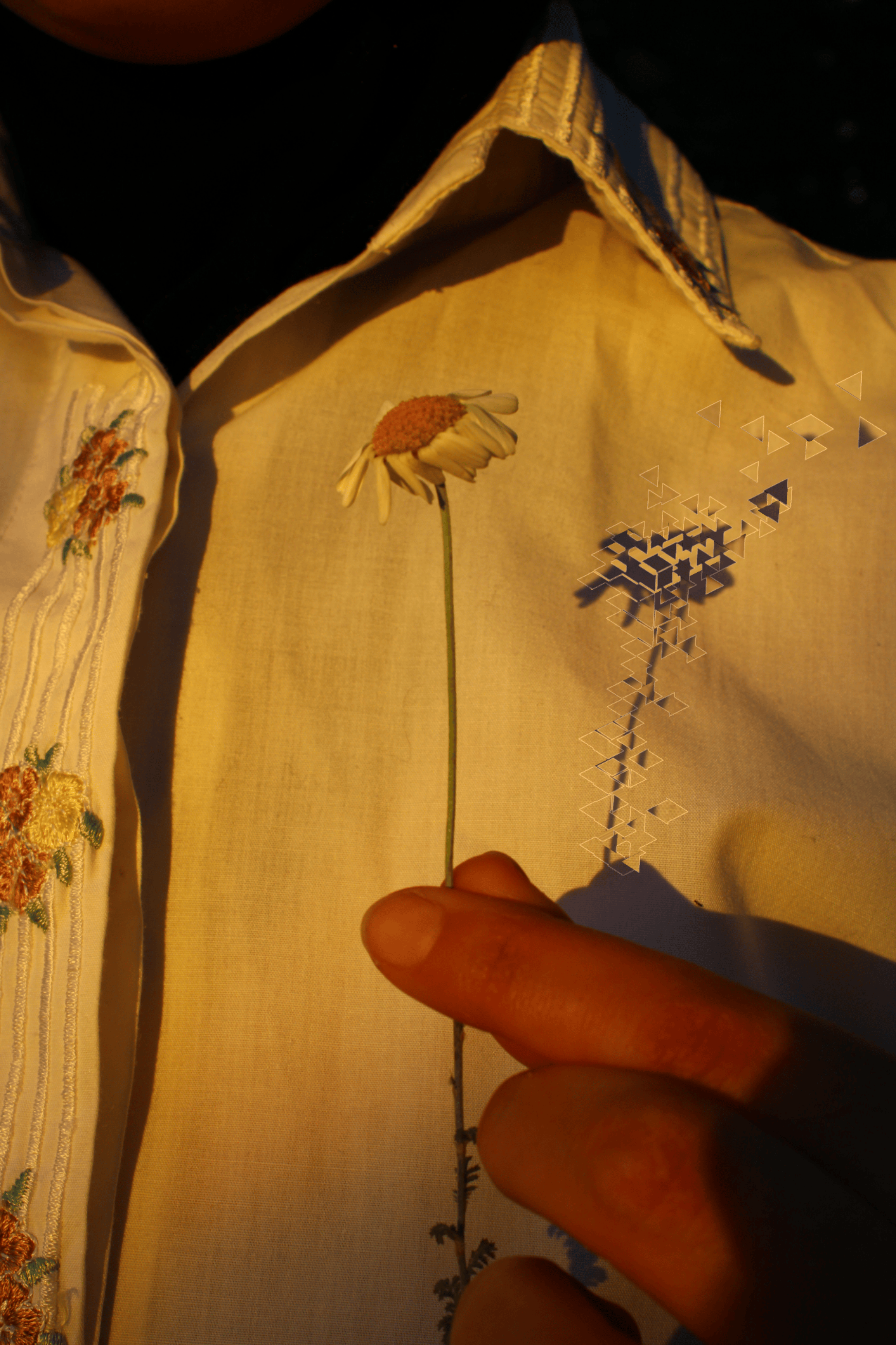 gratis Close-up van een hand die een madeliefje vasthoudt voor een vintage overhemd met bloemenprint. Stockfoto