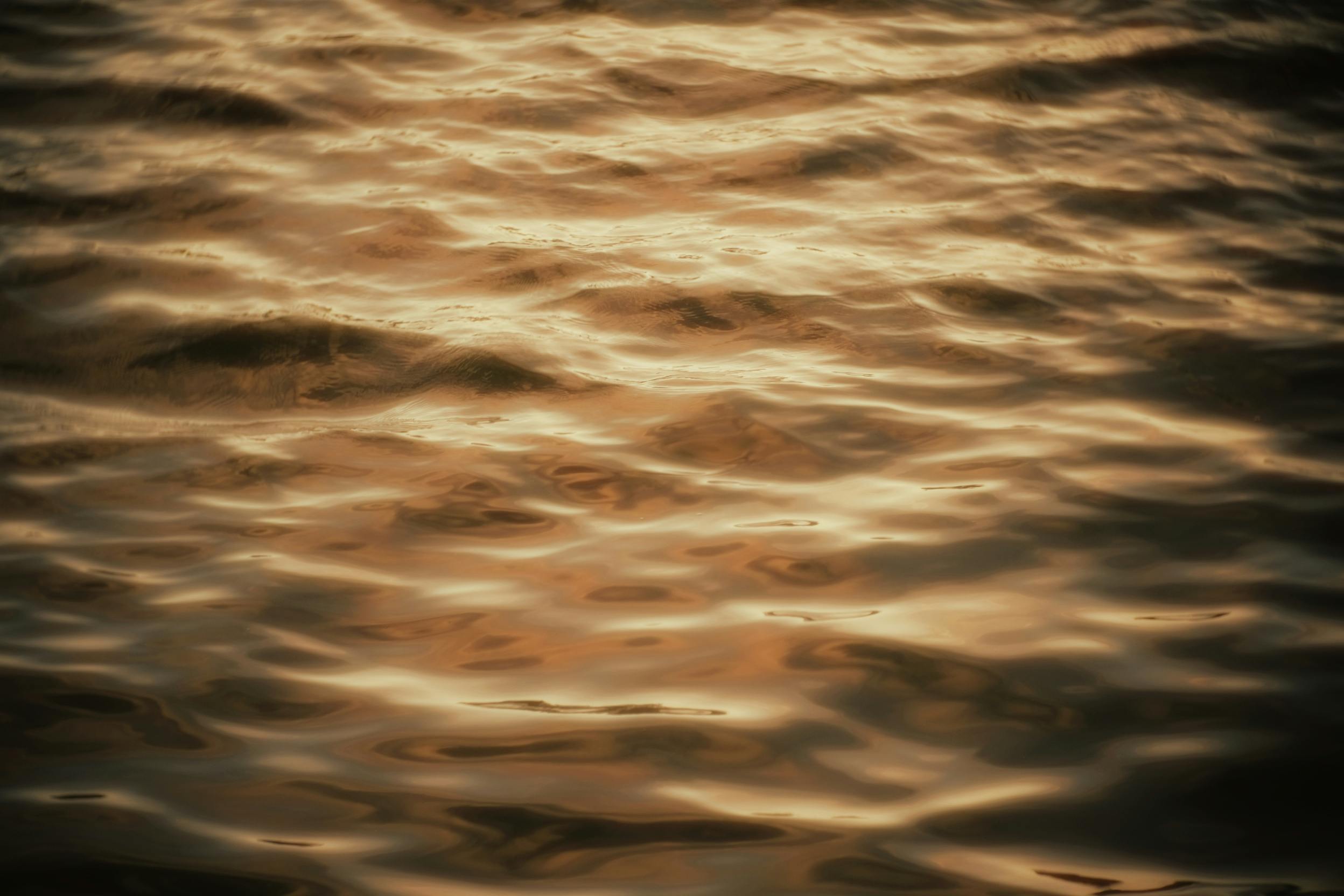 Kostenlos Warmes, goldenes Licht spiegelt sich in sanft gekräuseltem Wasser und erzeugt ruhige, abstrakte Muster. Stock-Foto