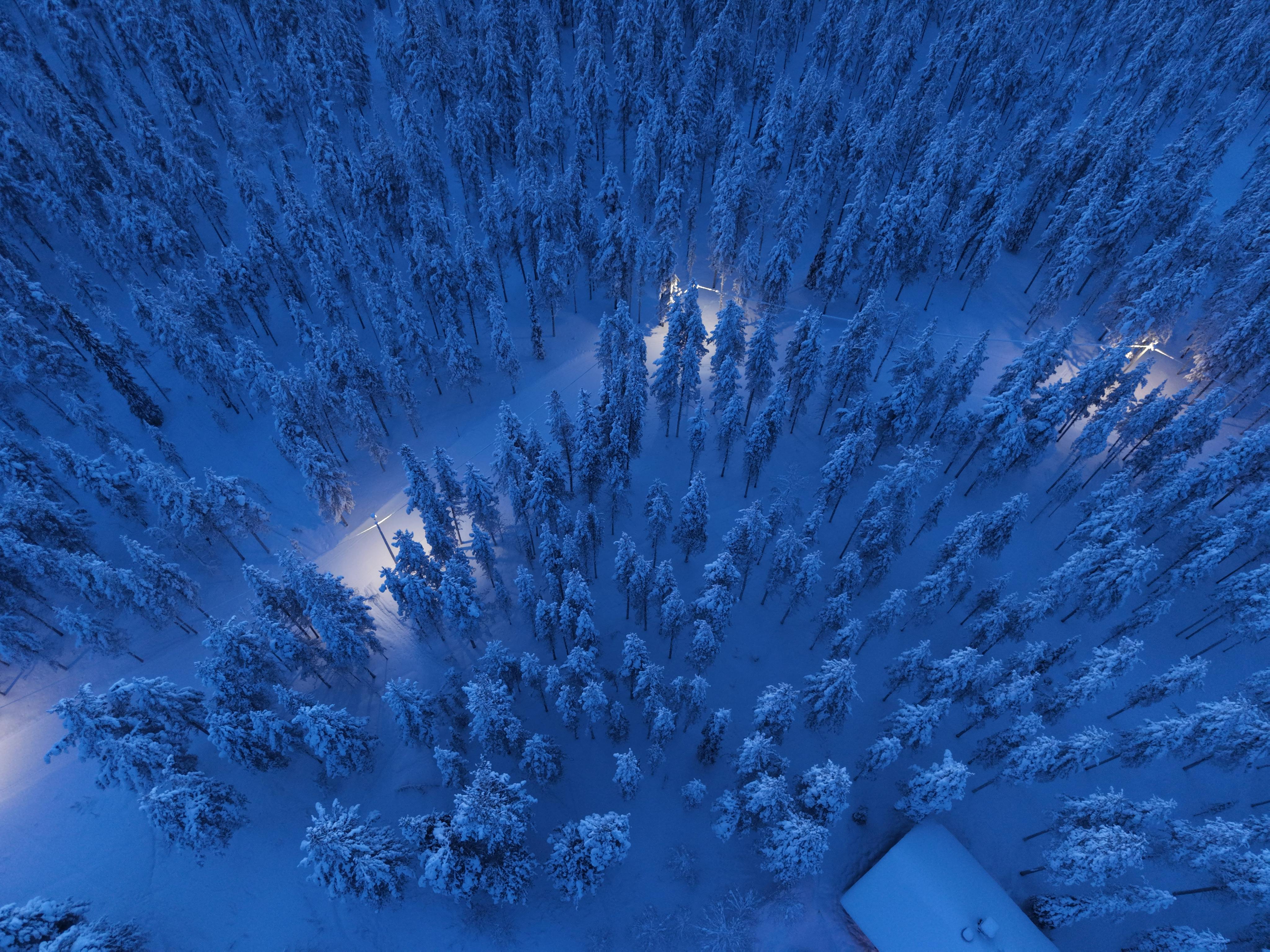 Kostenlos Luftaufnahme eines verschneiten Waldes in Lappland, Finnland, mit einem gewundenen Pfad, der in der Dämmerung beleuchtet ist. Stock-Foto