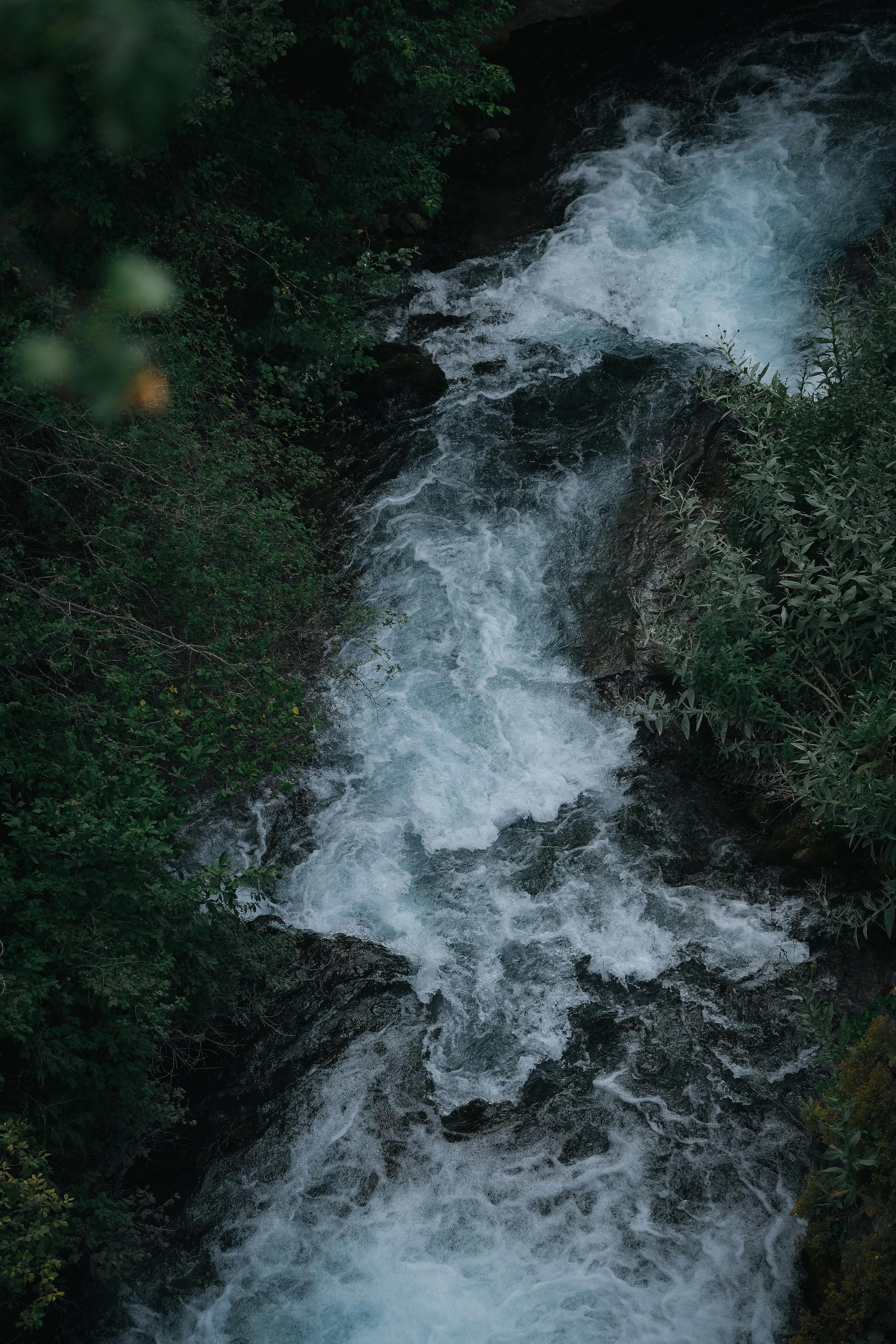 Zadarmo Letecký pohľad na rozbúrenú rieku tečúcu hustou zeleňou v Seydibabe, Gümüşhane, Turecko. Fotka z fotobanky
