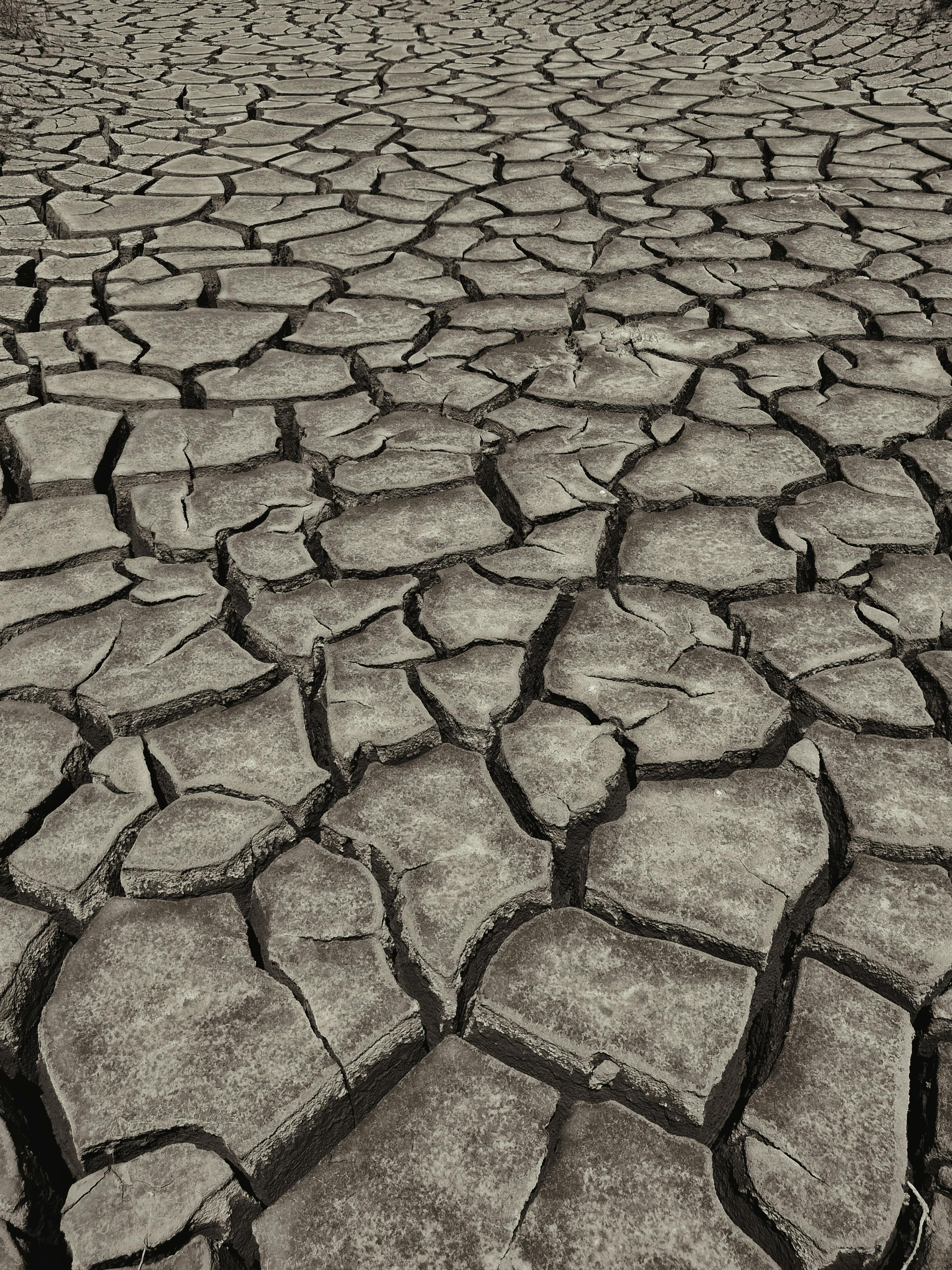 Dramatic close-up of cracked dry earth, highlighting extreme drought and climate change.