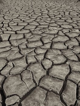 Photo by Orkhan Sweden Dramatic close-up of cracked dry earth, highlighting extreme drought and climate change.