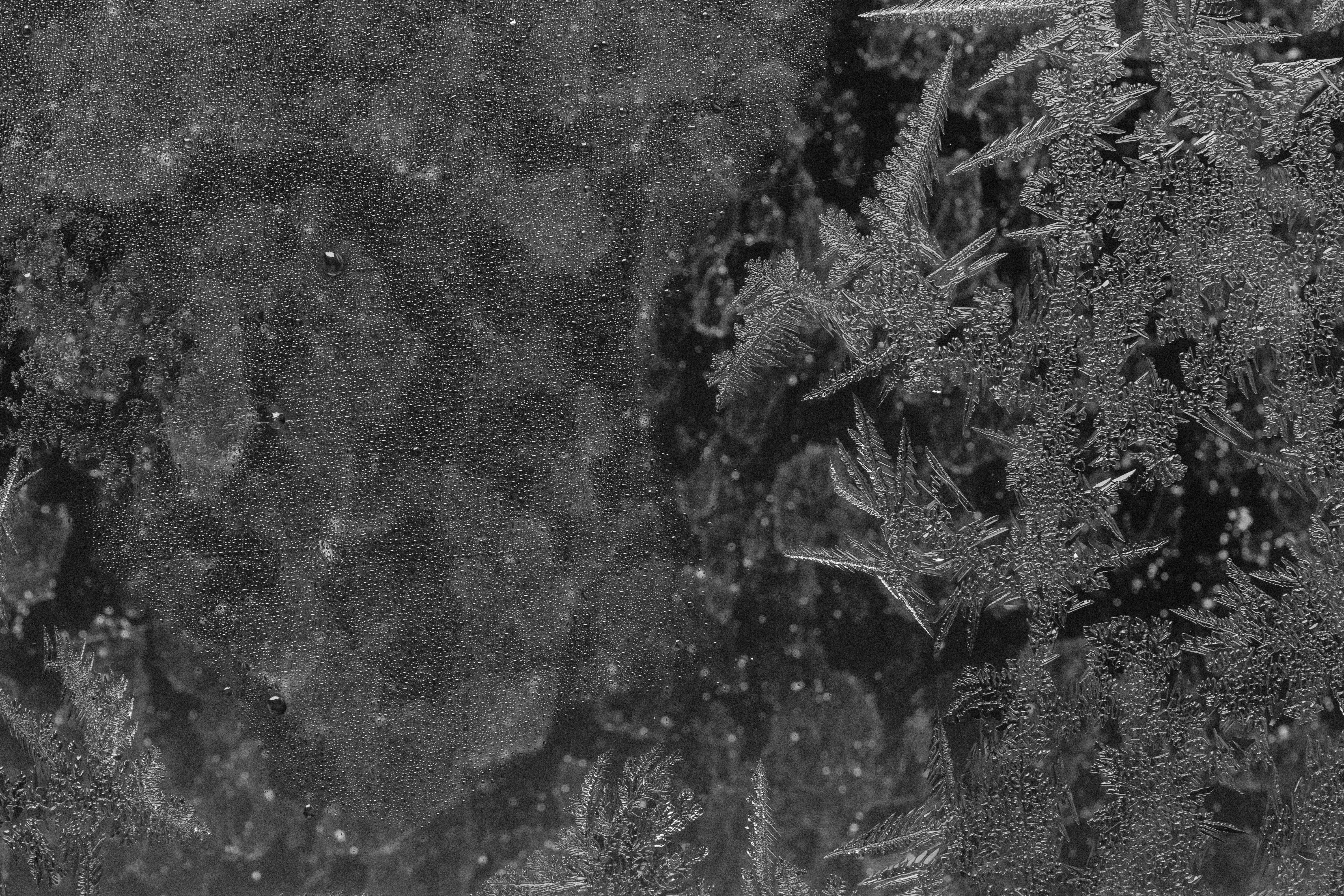 Gratuit Imagine de stoc gratuită din a închide, abstract, alb-negru Fotografie de stoc