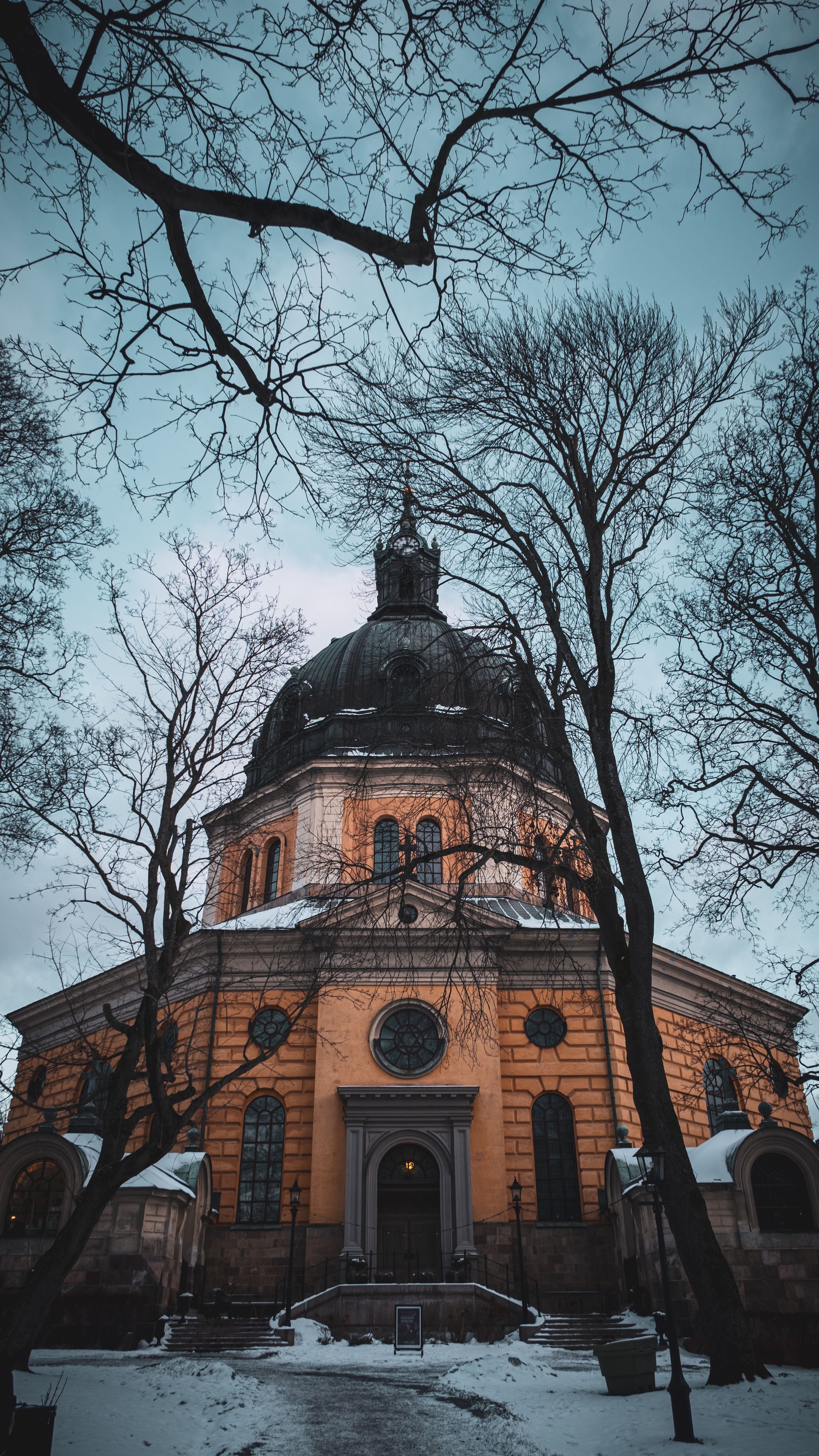 Captivating image of a Stockholm church dome in winter, framed by bare trees.