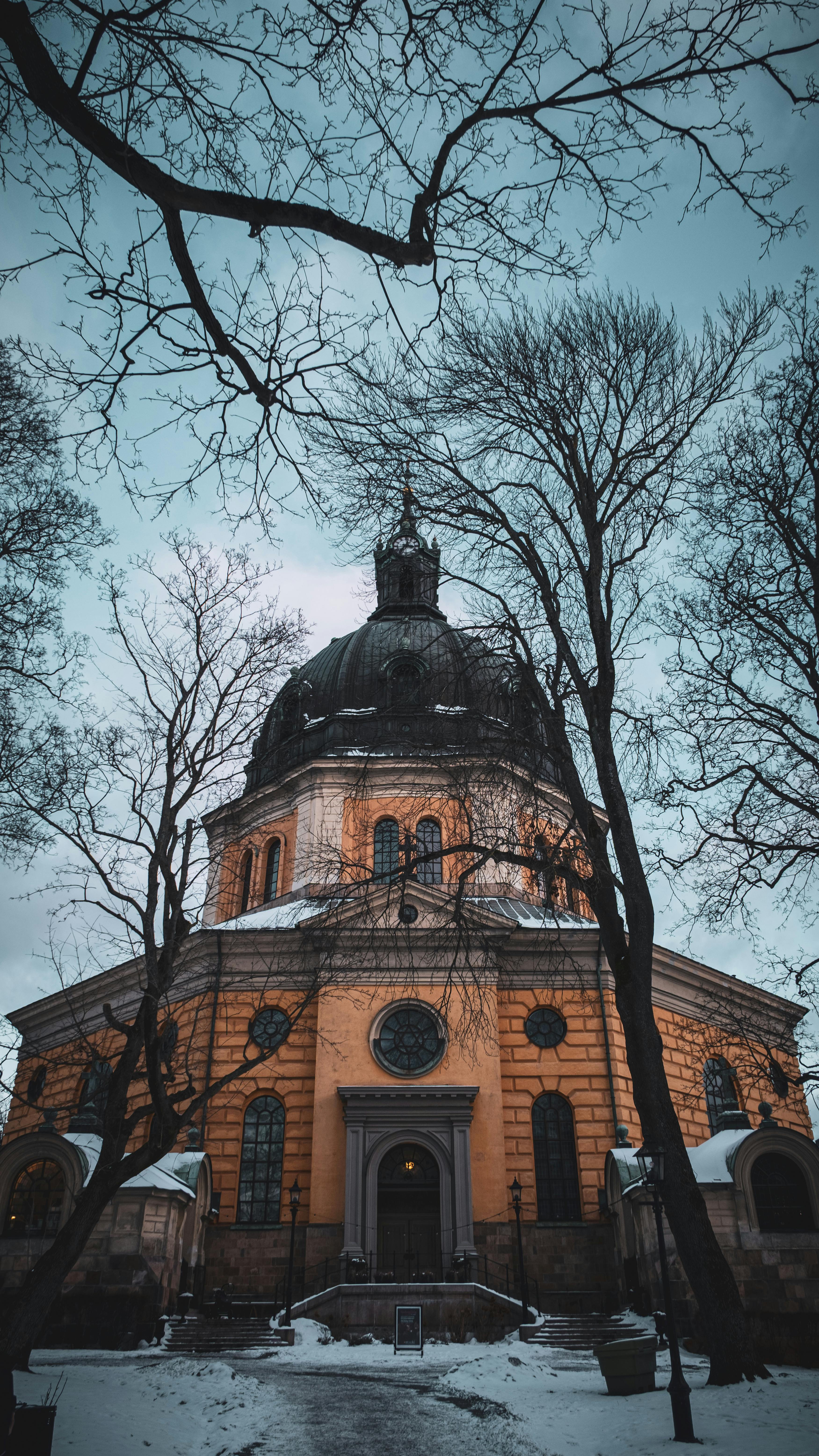 Gratis Fengslende bilde av en kirkekuppel i Stockholm om vinteren, innrammet av nakne trær. Arkivbilde