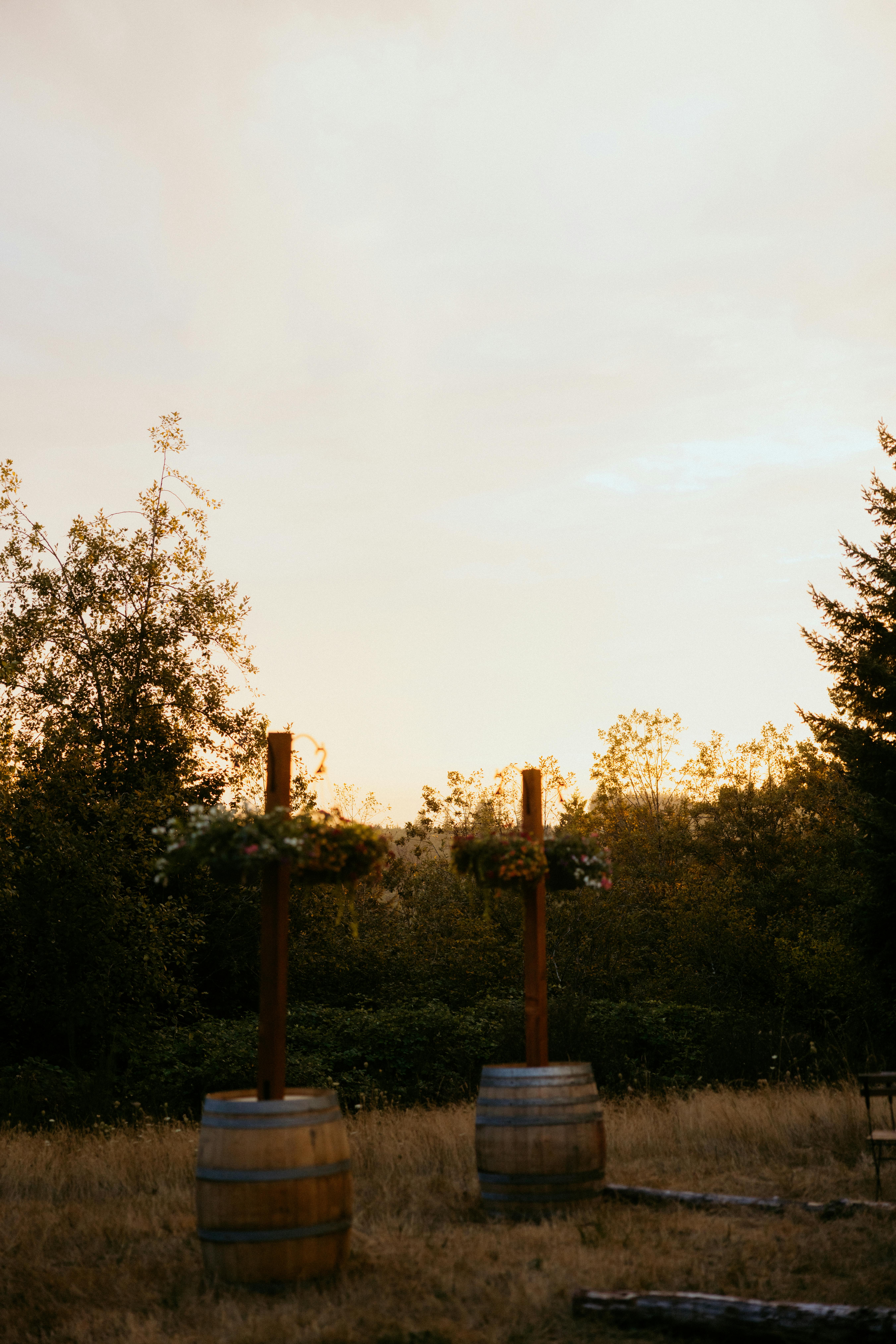 Безкоштовне Гарне місце просто неба з бочками, прикрашеними квітами, на заході сонця. стокове фото