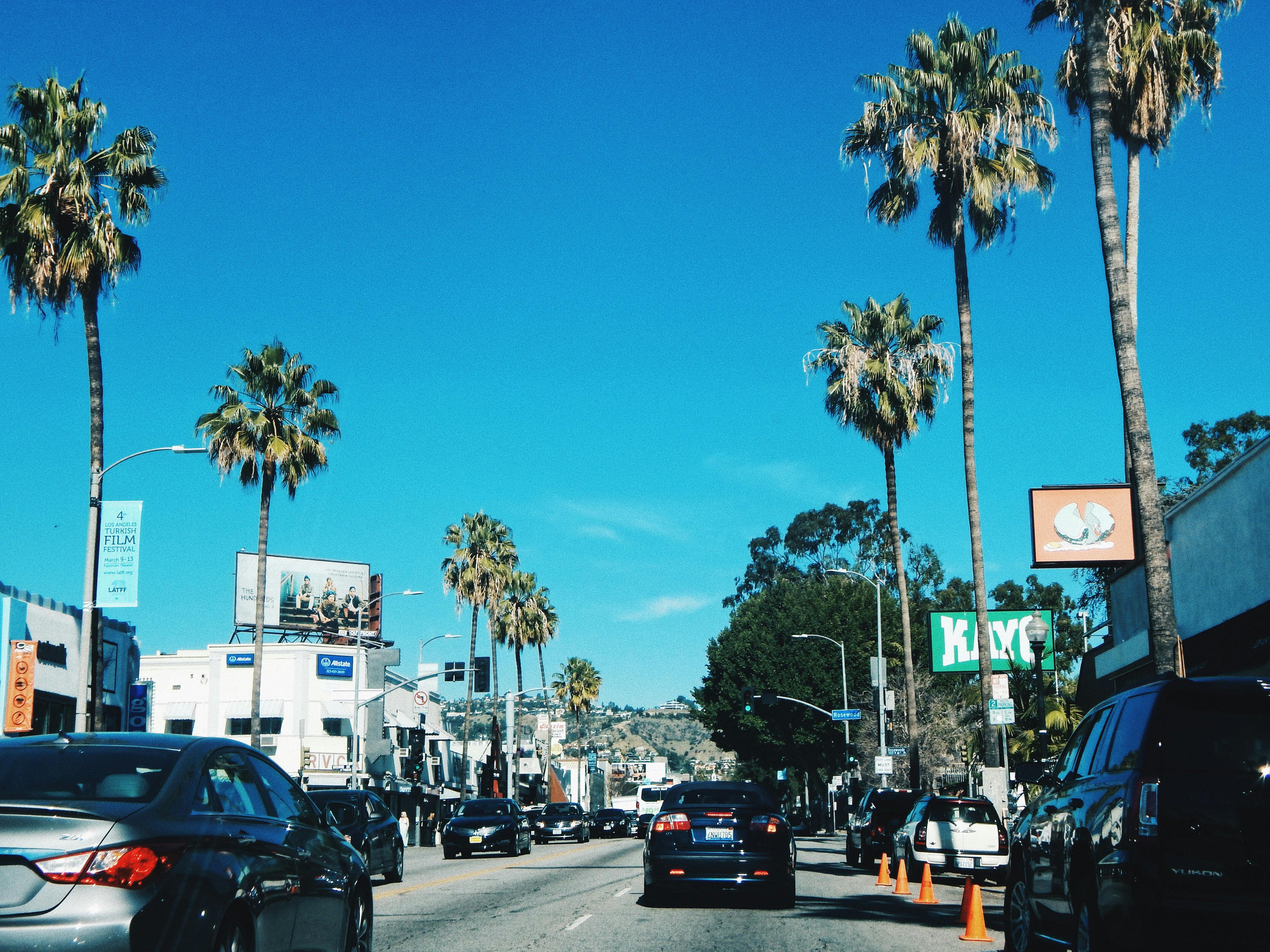 Free stock photo of california, los angeles, palms