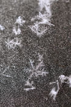 Close-up view of detailed snowflakes resting on a dark surface illustrating winter's delicate beauty.