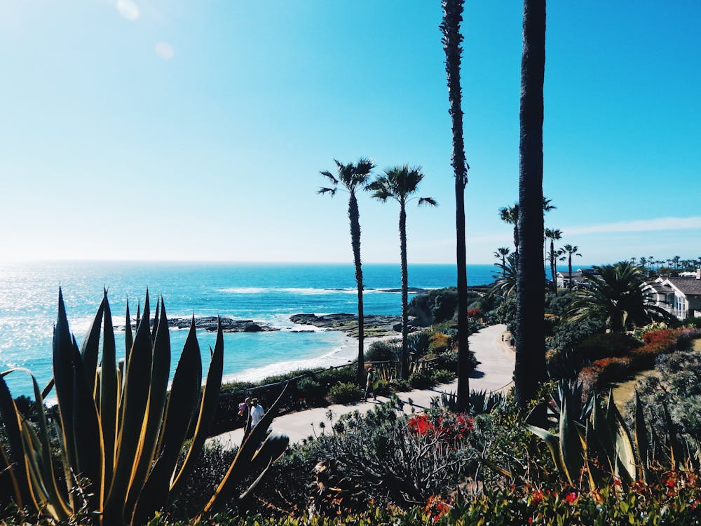 A beach view in LA.